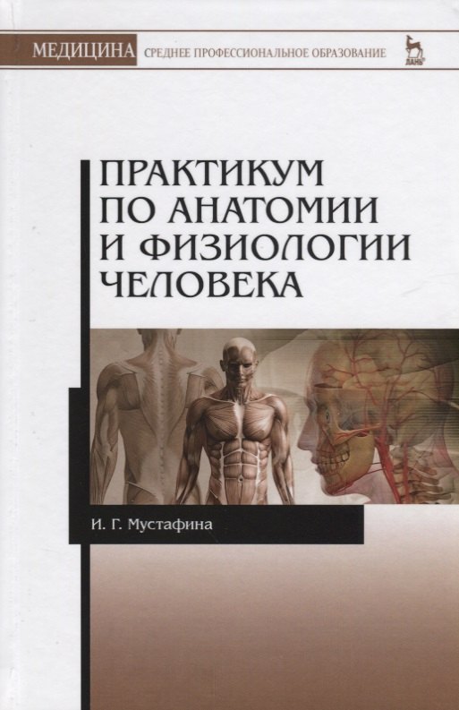 

Практикум по анатомии и физиологии человека. Учебное пособие