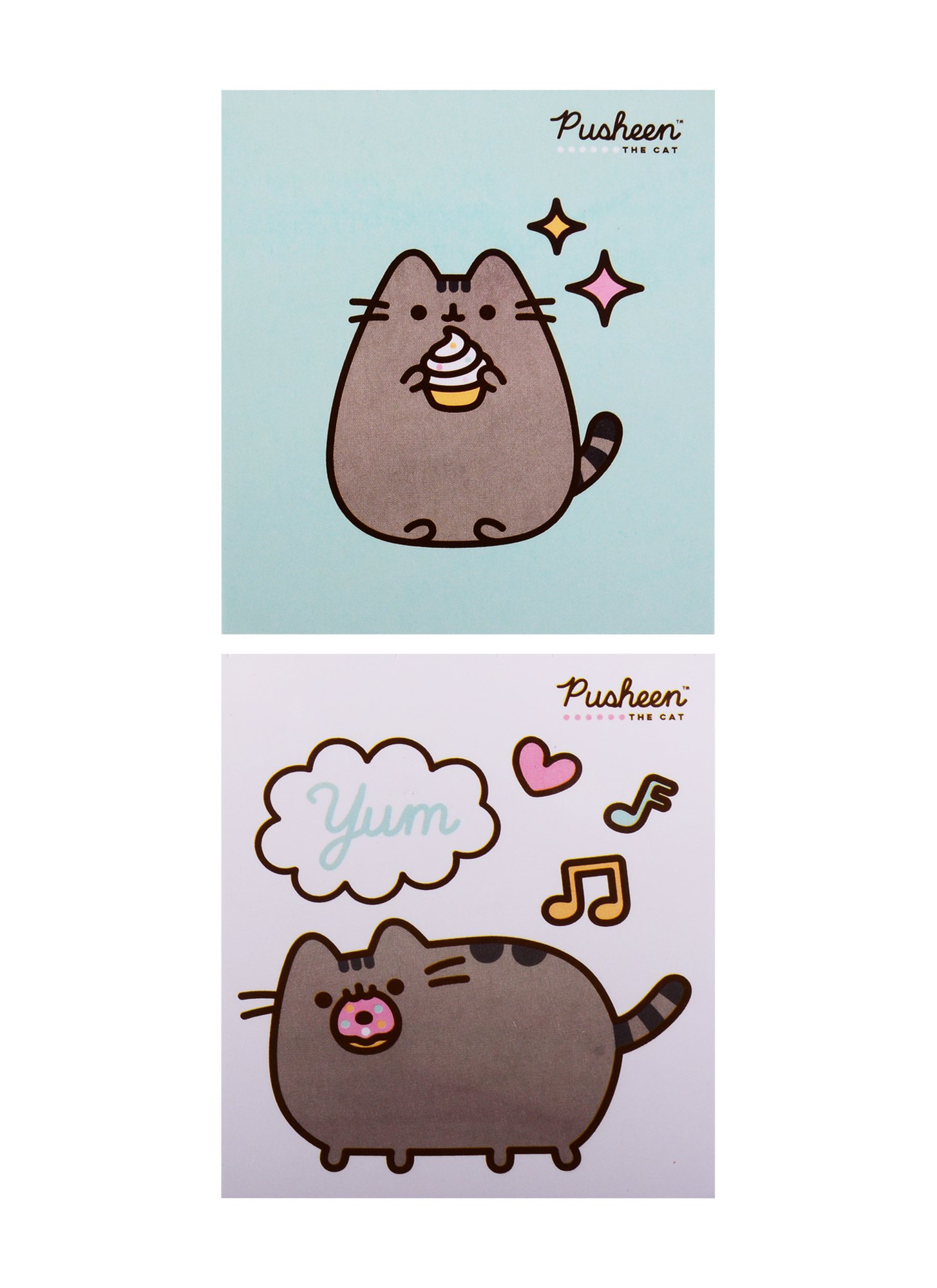 

Блоки для записей 02шт 50л "Pusheen" инд.уп.