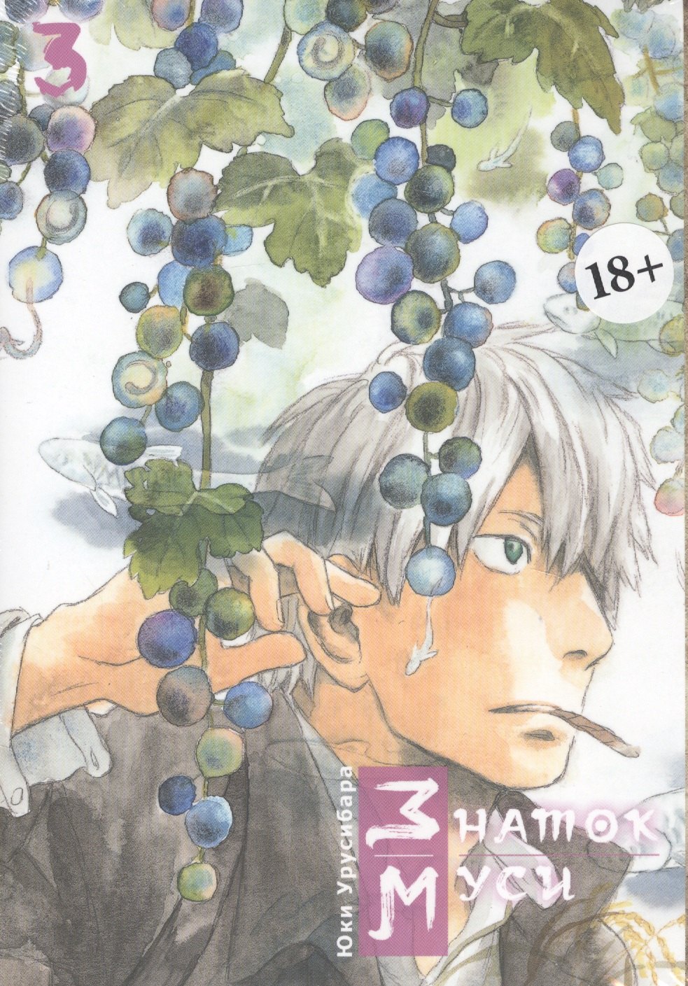 Урусибара Юки: Мастер Муси. Том 3 (Mushishi / Знаток Муси). Манга
