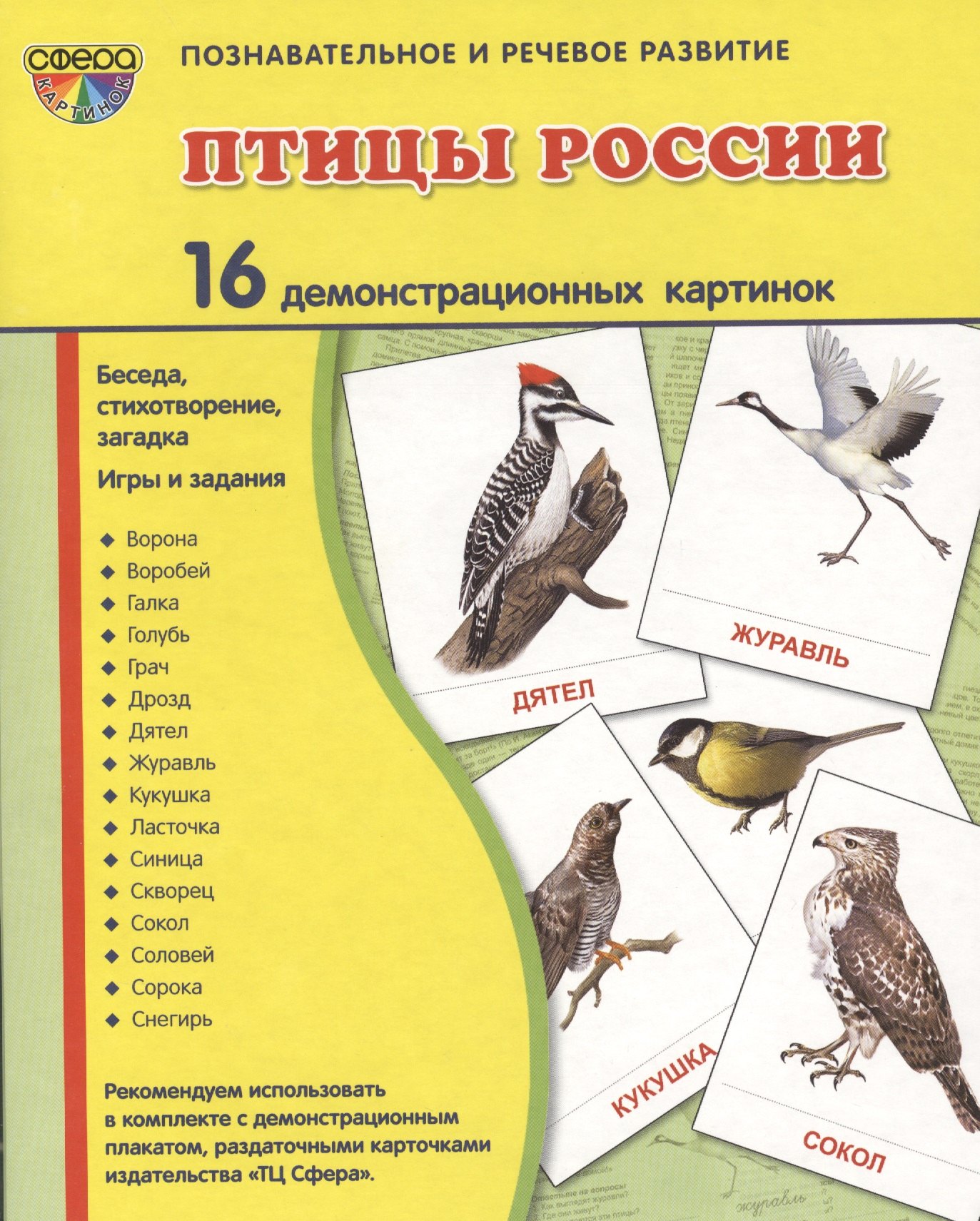 Цветкова Татьяна: Птицы России. 16 демонстрационных карточек. Беседа, стихотворение, загадка. Игры и задания. Познавательное и речевое развитие