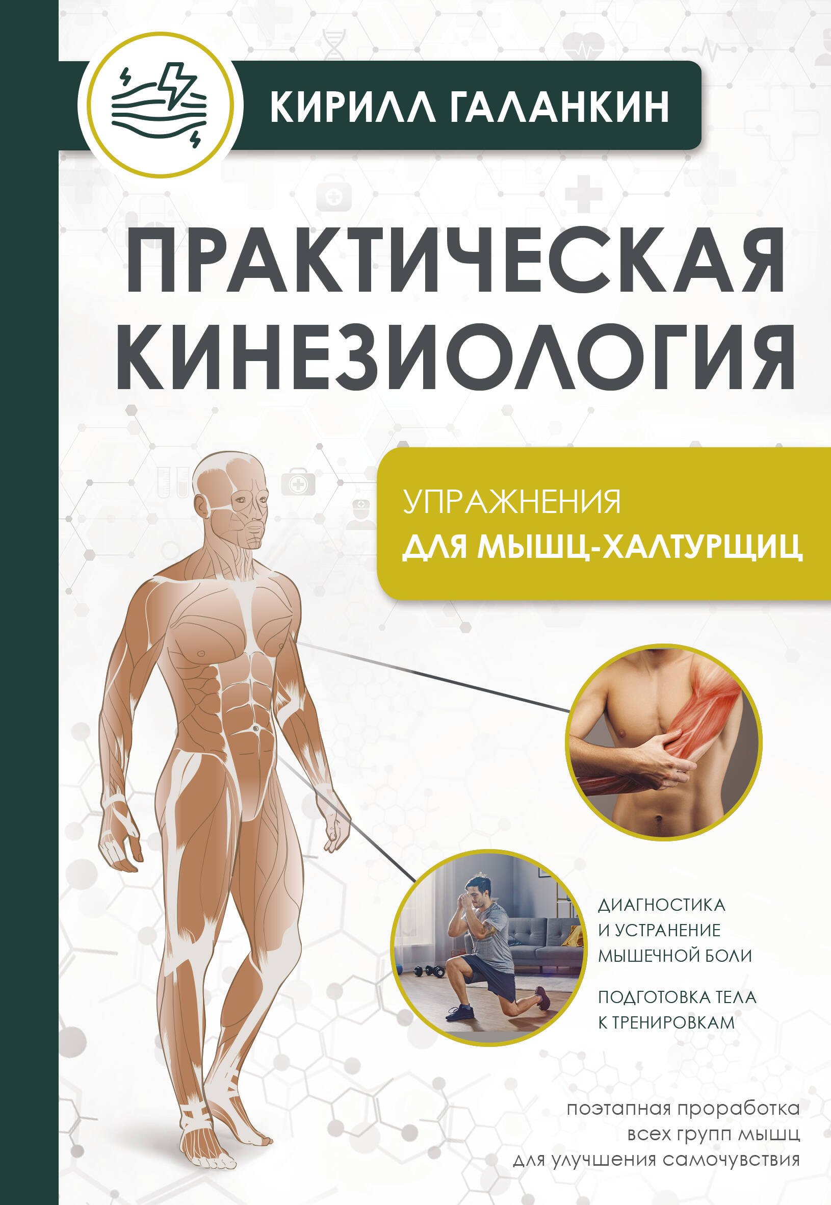 Галанкин Кирилл: Практическая кинезиология. Упражнения для мышц-халтурщиц