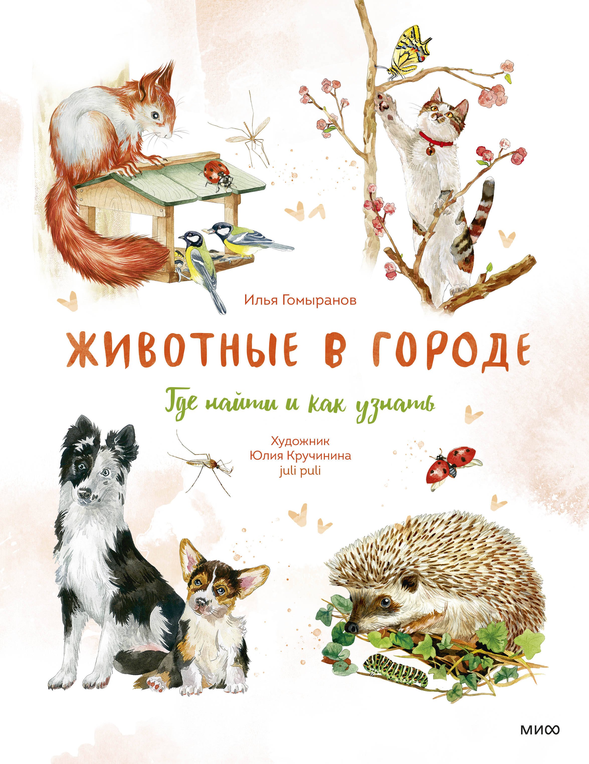 Животные в городе Где найти и как узнать 1299₽