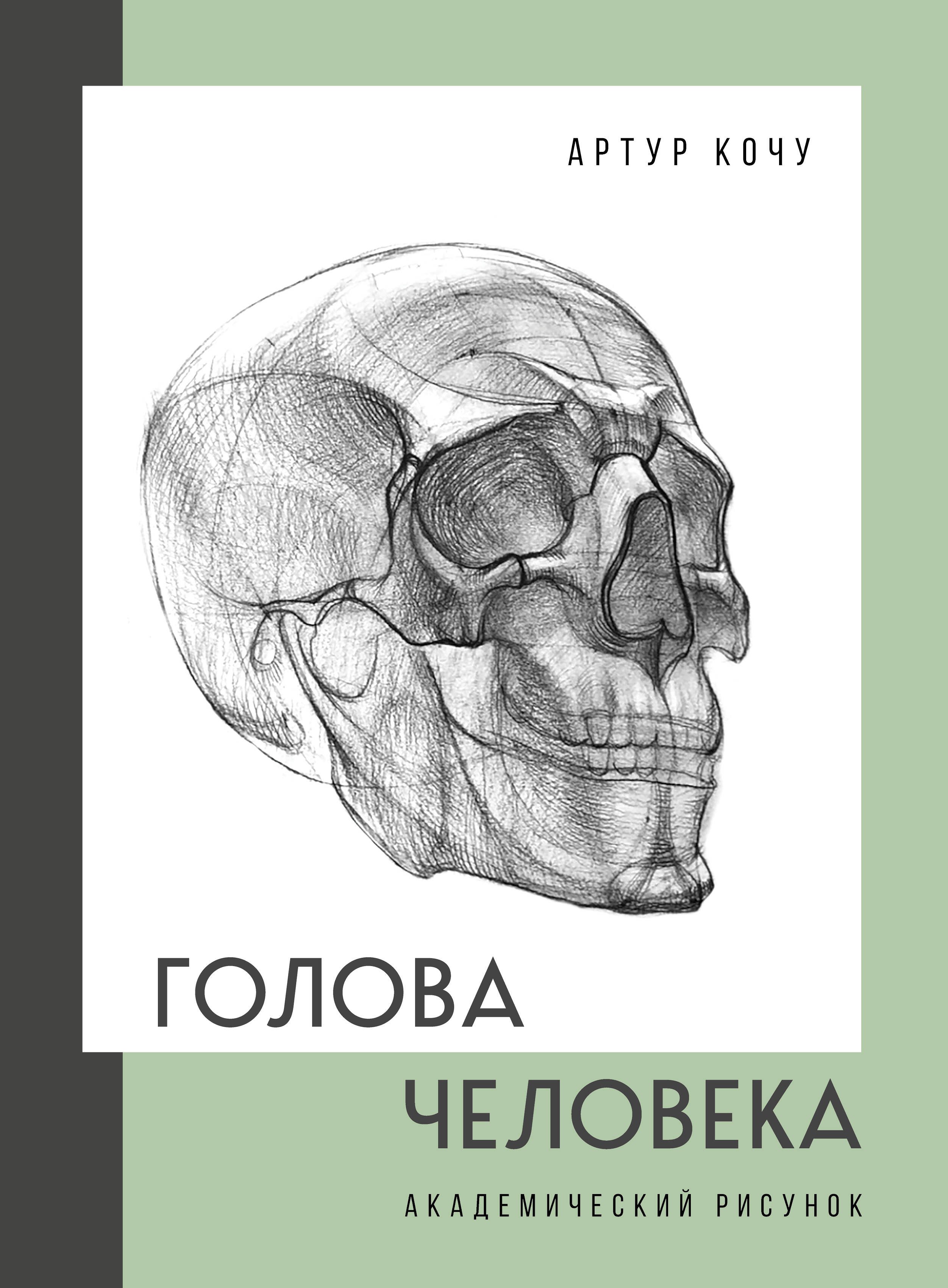 

Голова человека. Академический рисунок