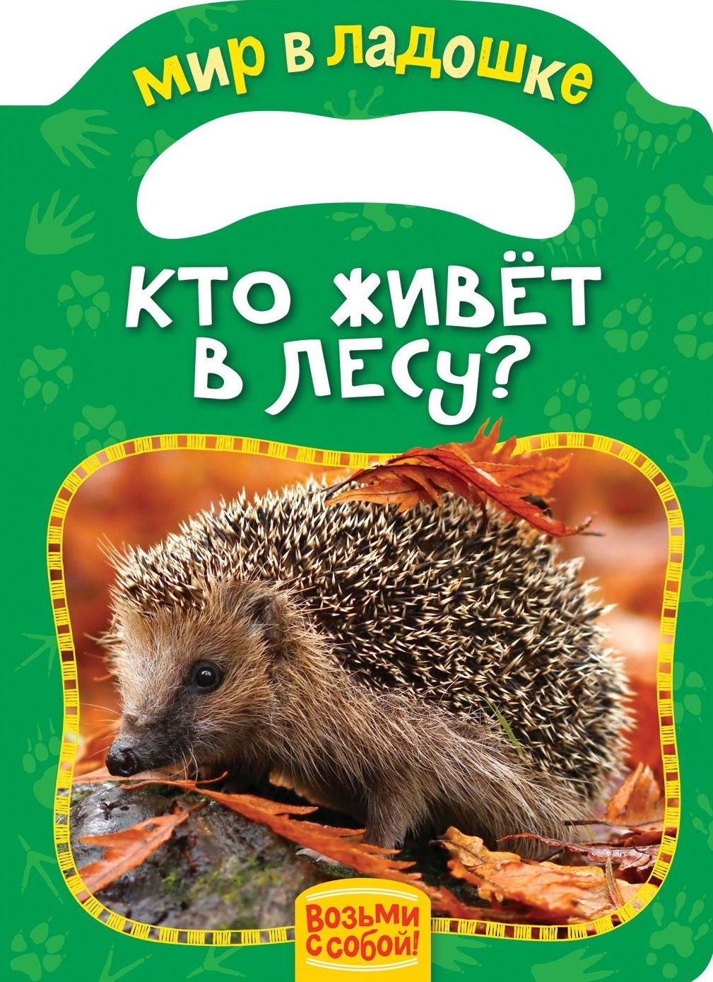 

Кто живет в лесу