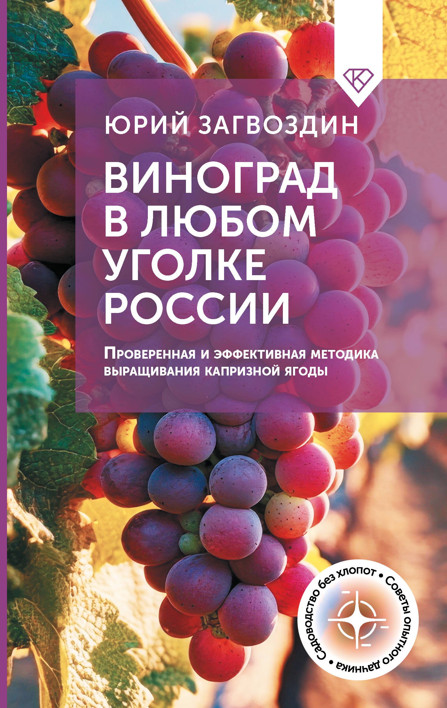 Виноград в любом уголке России Проверенная и эффективная методика выращивания капризной ягоды 358₽