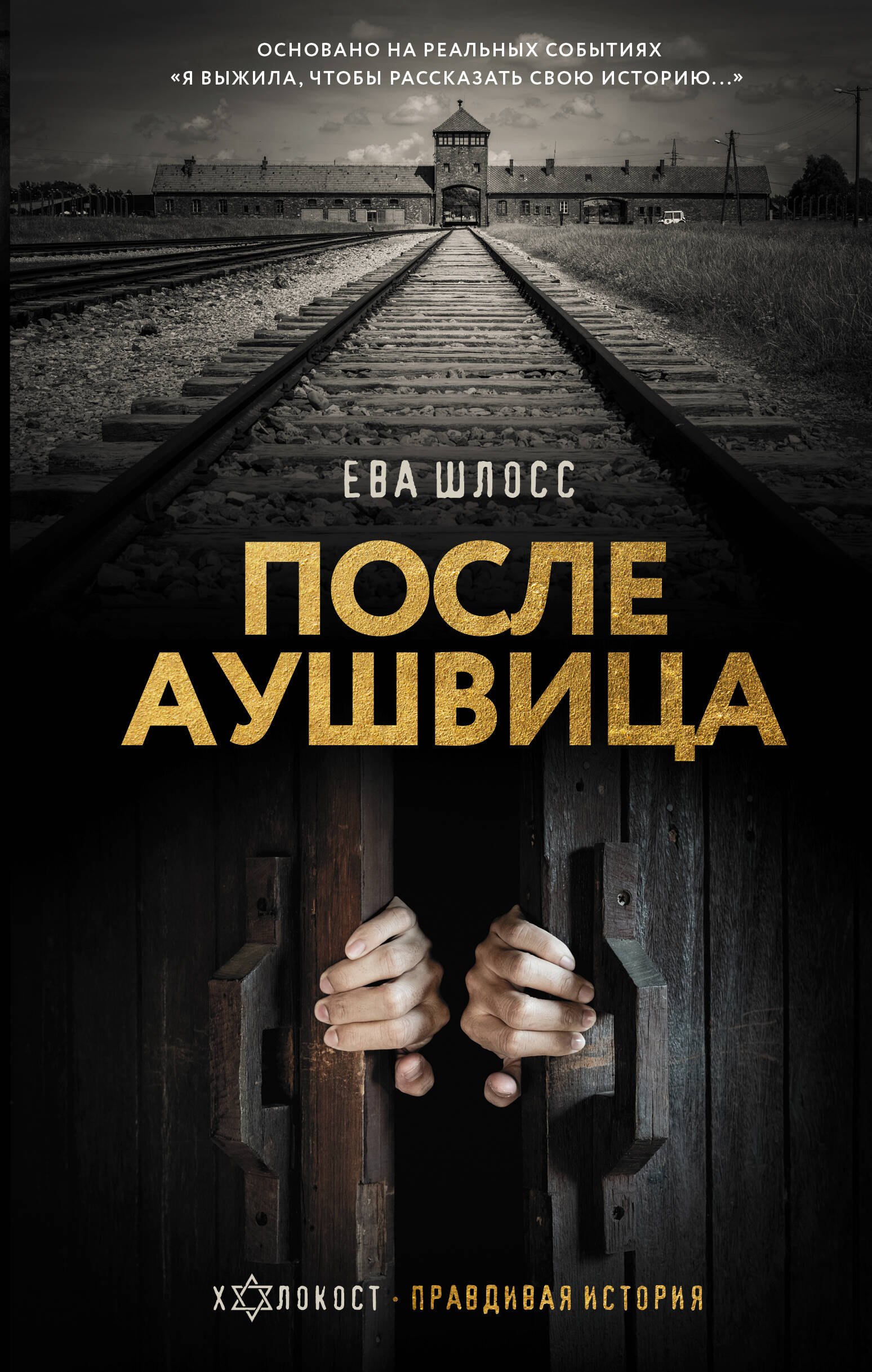 После Аушвица 729₽