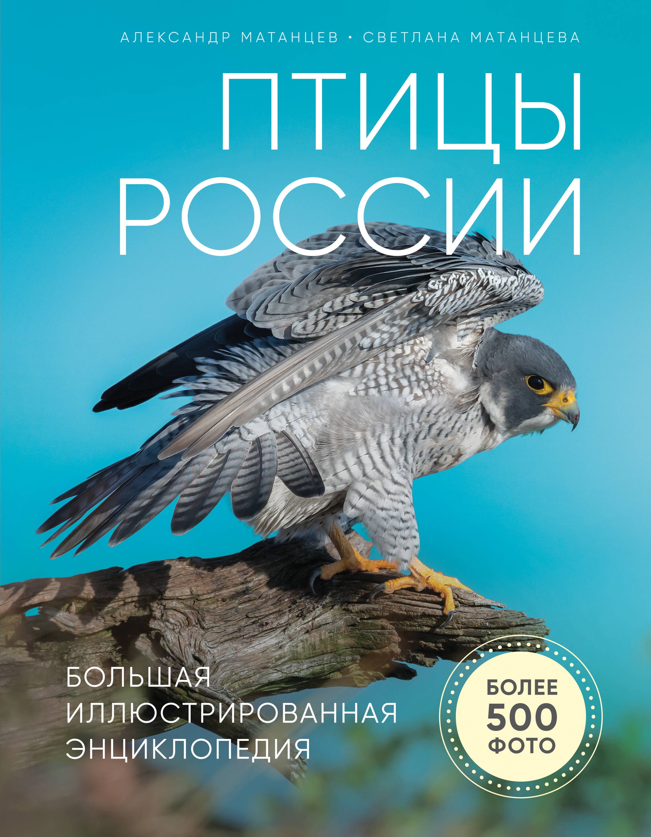 

Птицы России. Большая иллюстрированная энциклопедия