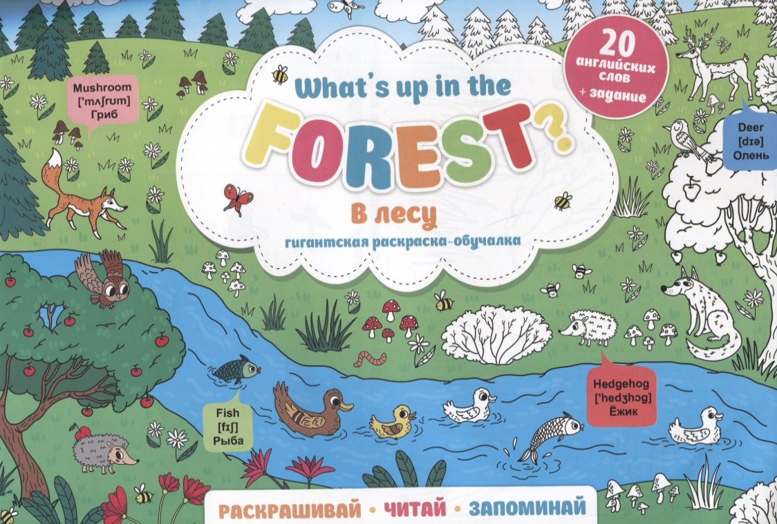 

What`s up in the forest / В лесу. Гигантская раскраска-обучалка. 20 английских слов + задание. Раскрашивай. Читай. Запоминай