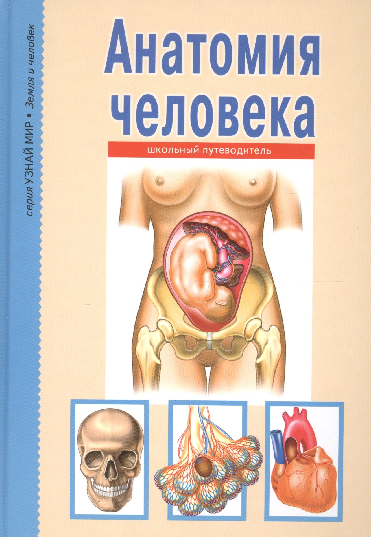 Анатомия человека 253₽