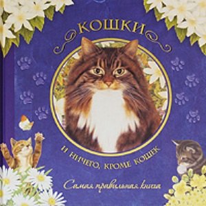 Кошки и ничего кроме кошек Самая правильная книга Репчак К Лабиринт 855₽