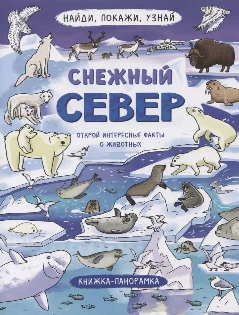 Книжка-панорамка "Снежный Север"