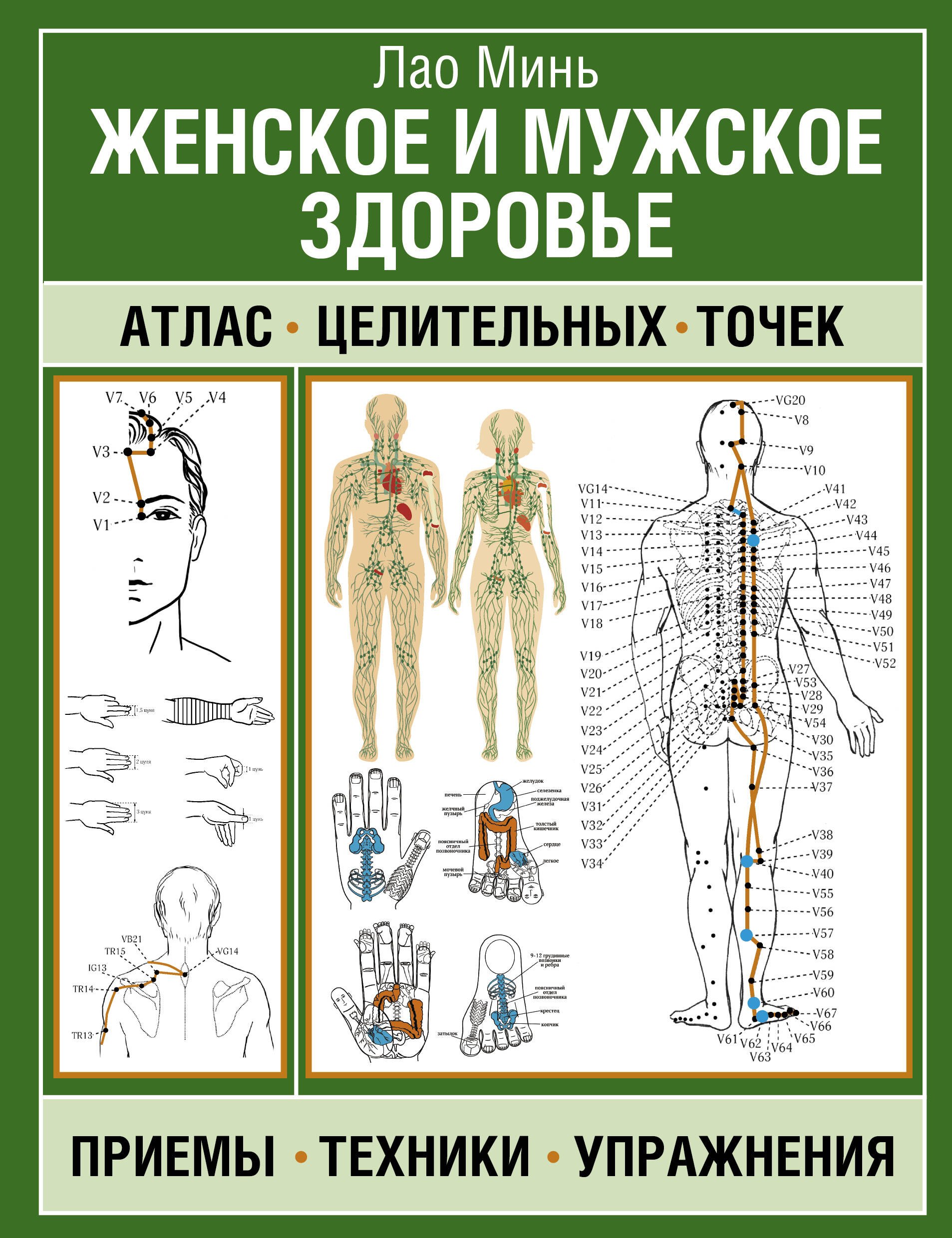 

Женское и мужское здоровье. Атлас целительных точек, приемы, техники, упражнения