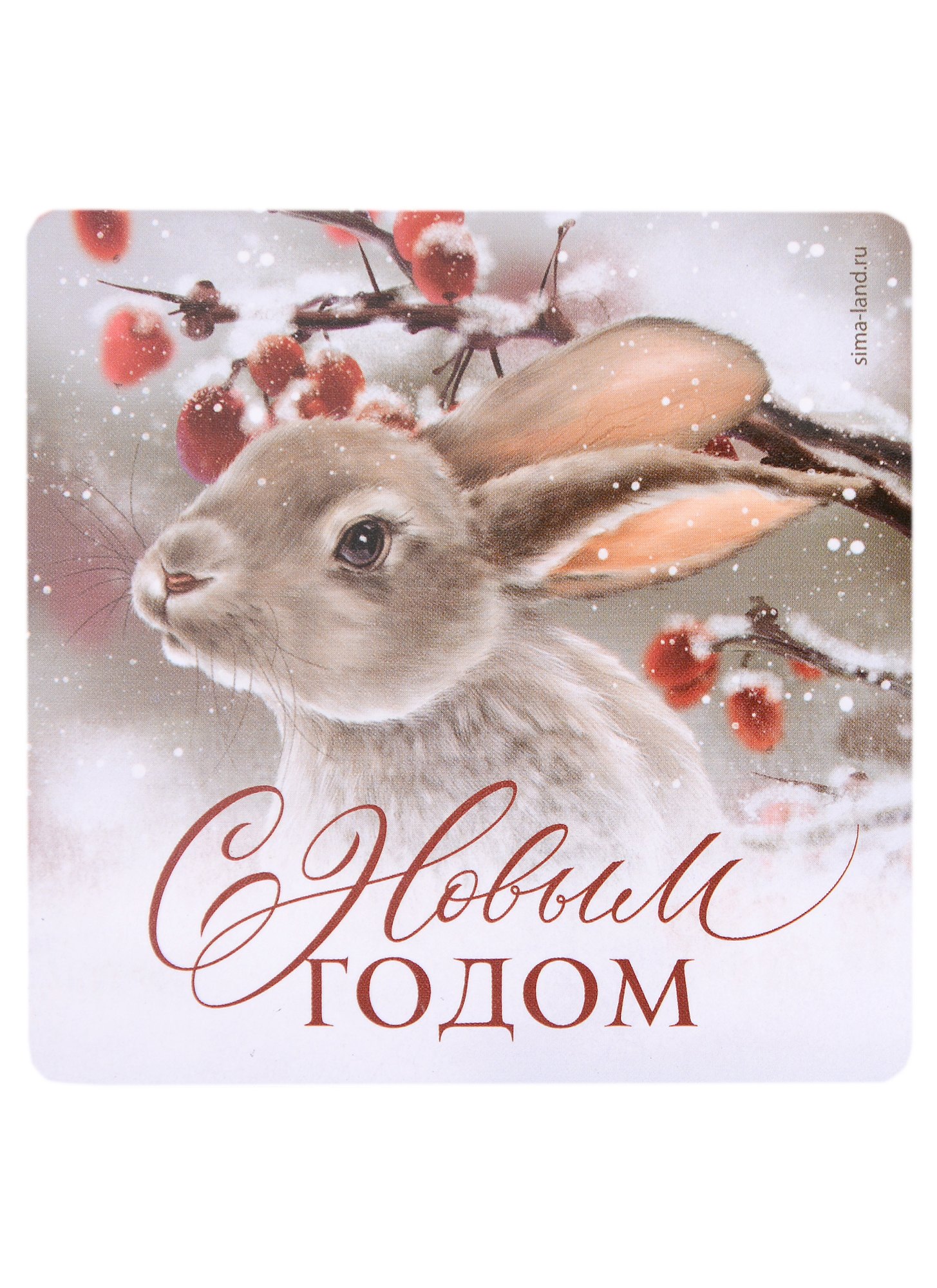 

Магнит новогодний Кролик С новым годом (пластик) (8х8) (7673240)