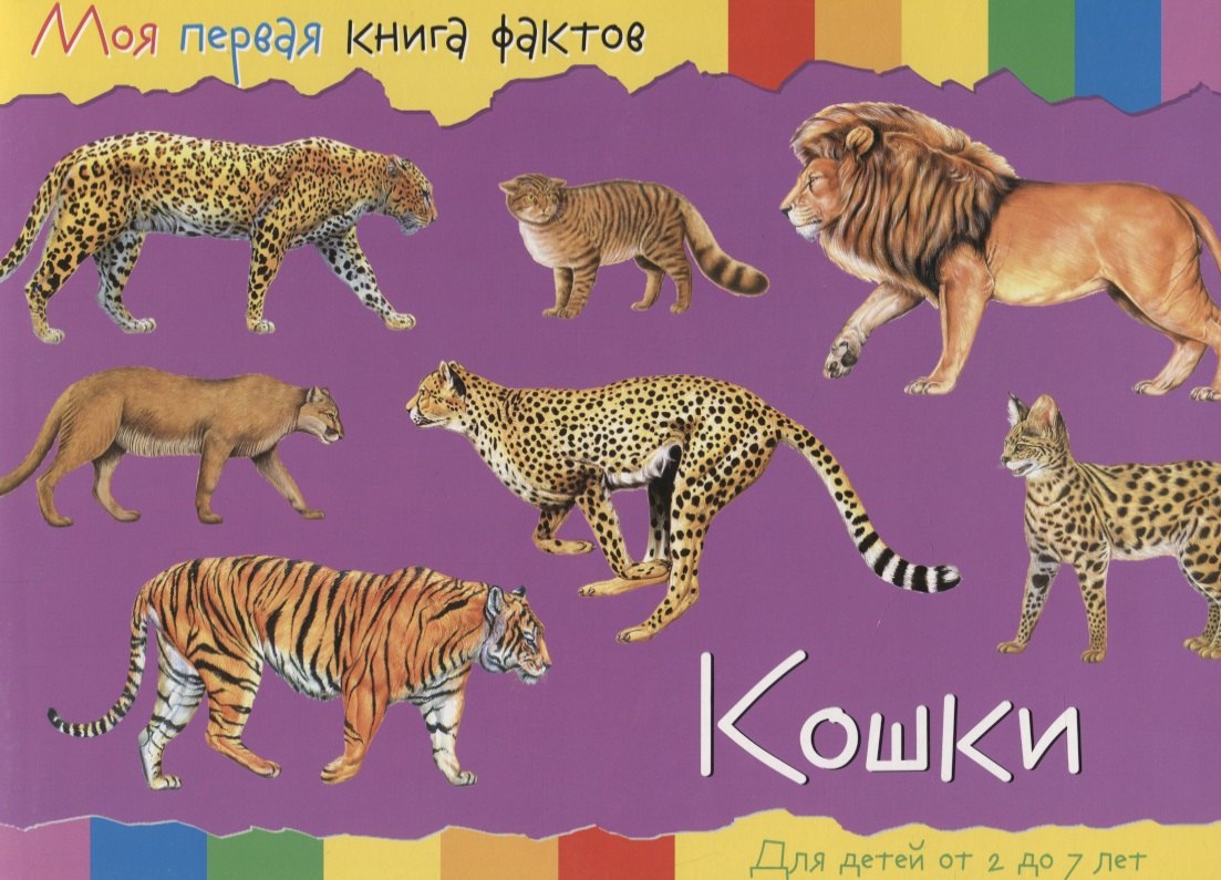 

Кошки (2-7 лет) (+ накл.) (мМояПервКнФакт)