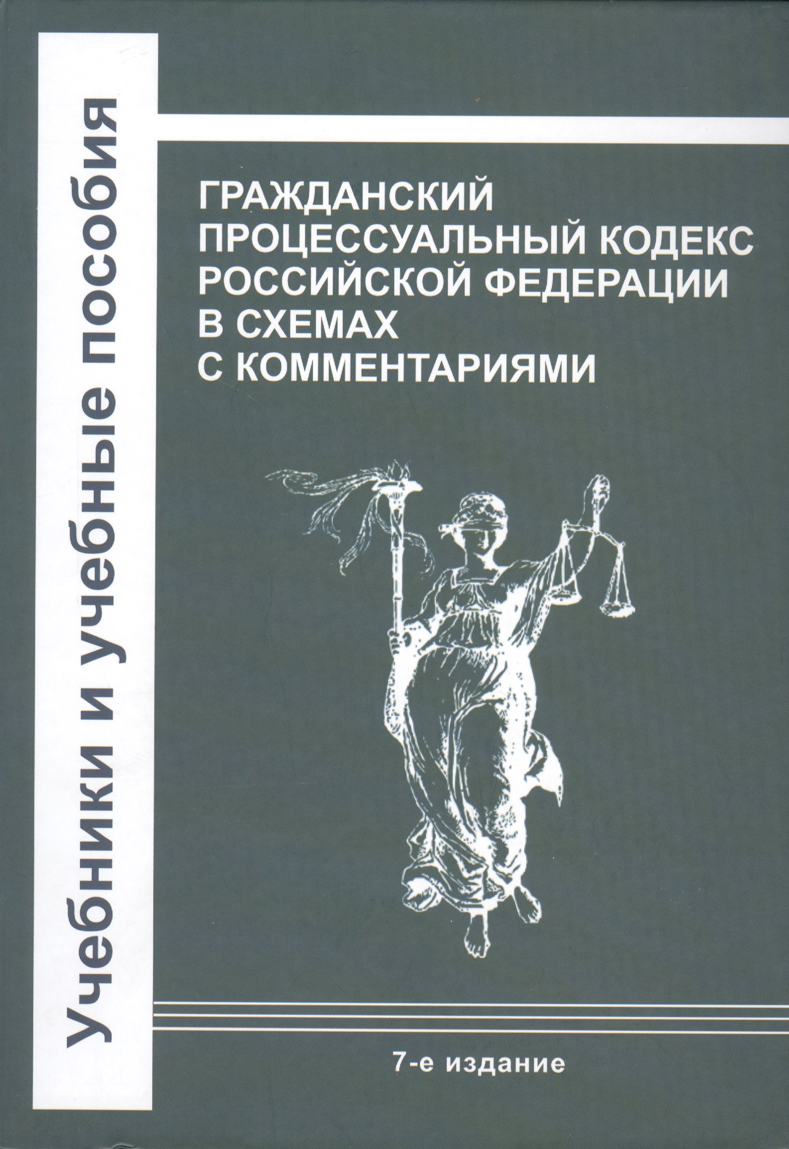 

Гражданский процессуальный кодекс Российской Федерации в схемах с комментариями