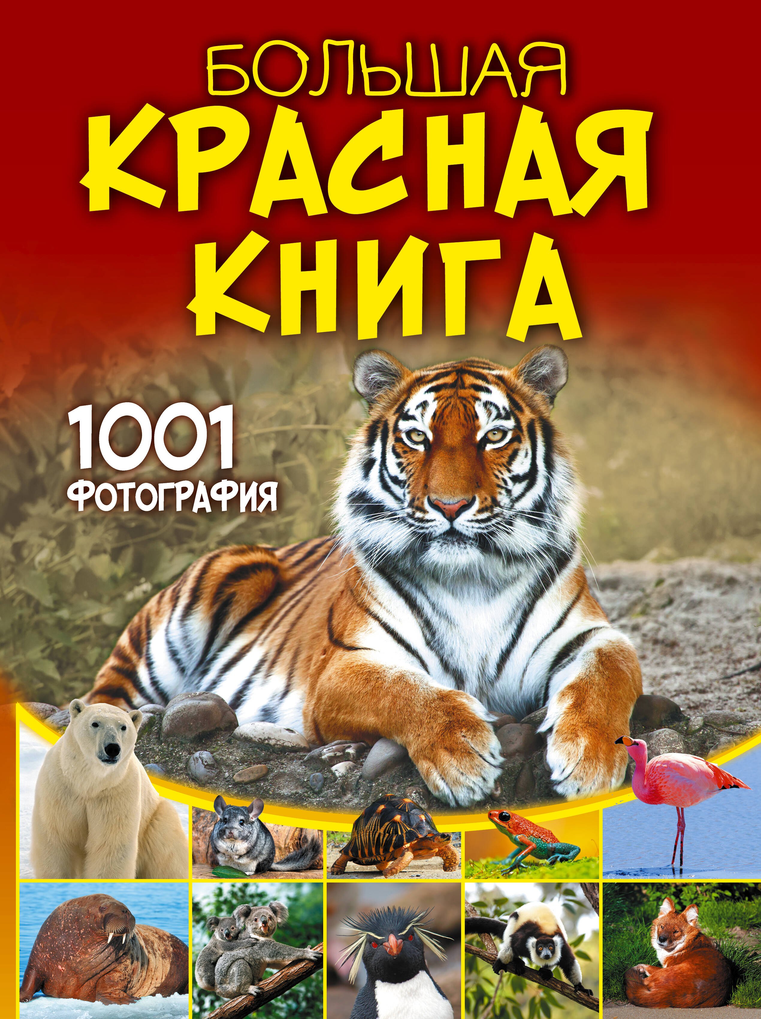 

Большая красная книга. 1001 фотография