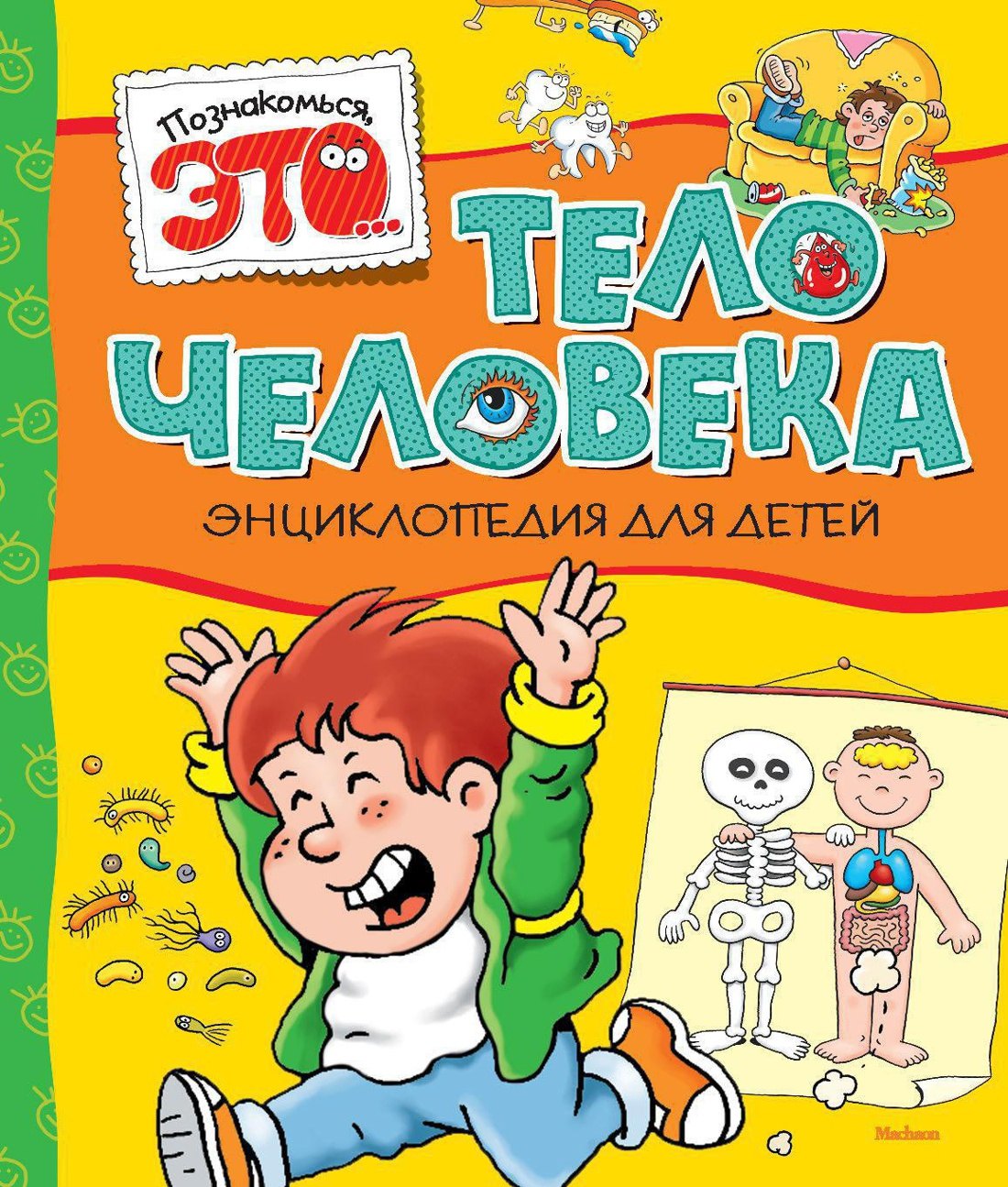 

Тело человека