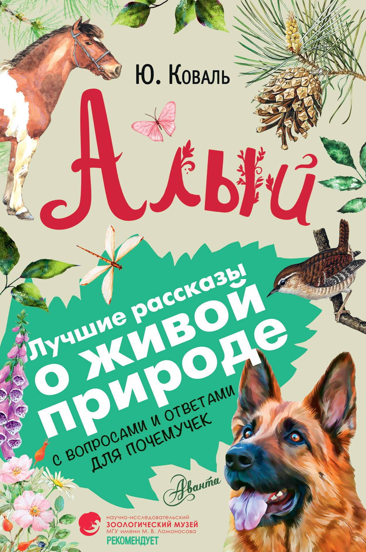 Алый 212₽
