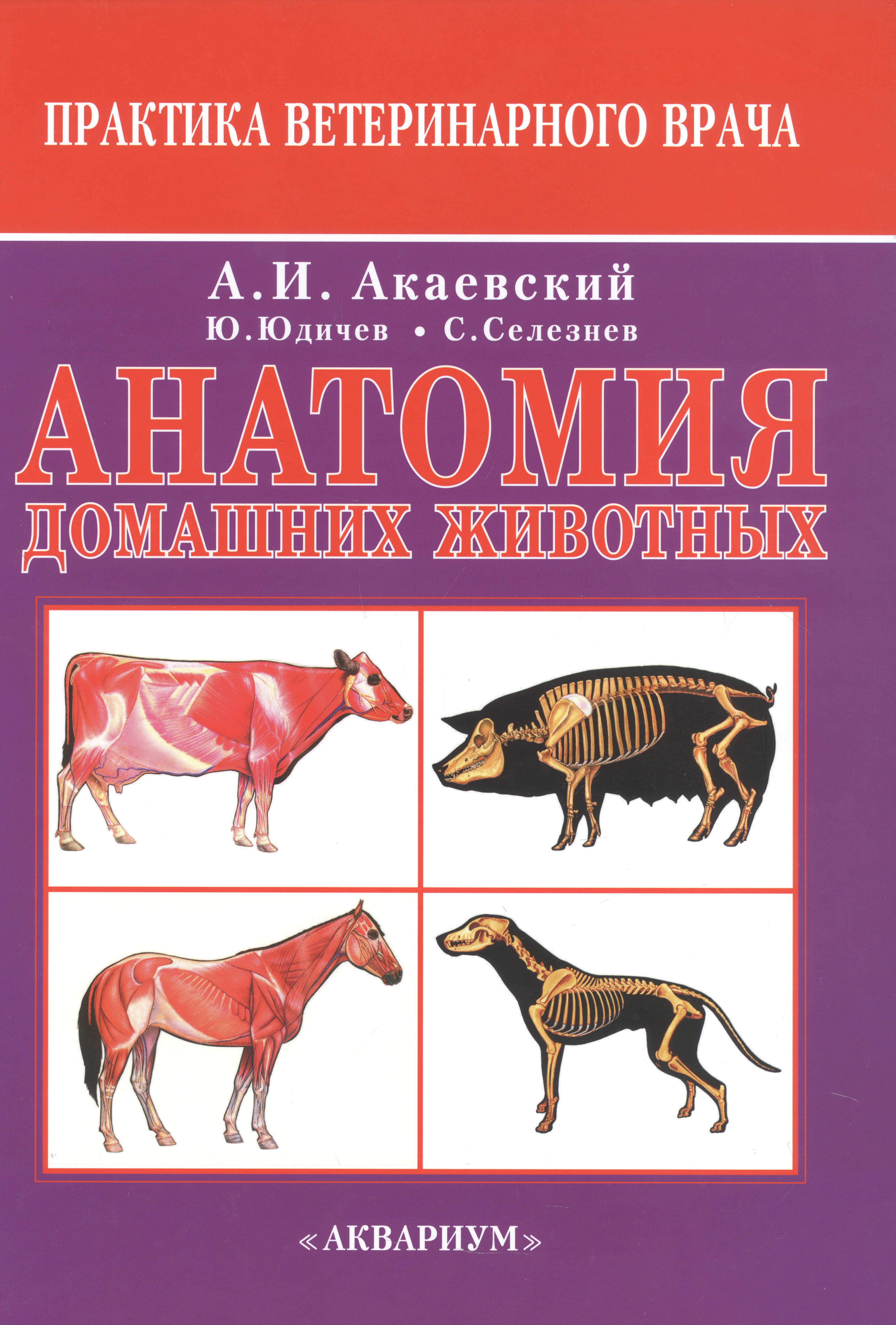Акаевский Анатолий Иванович: Анатомия домашних животных
