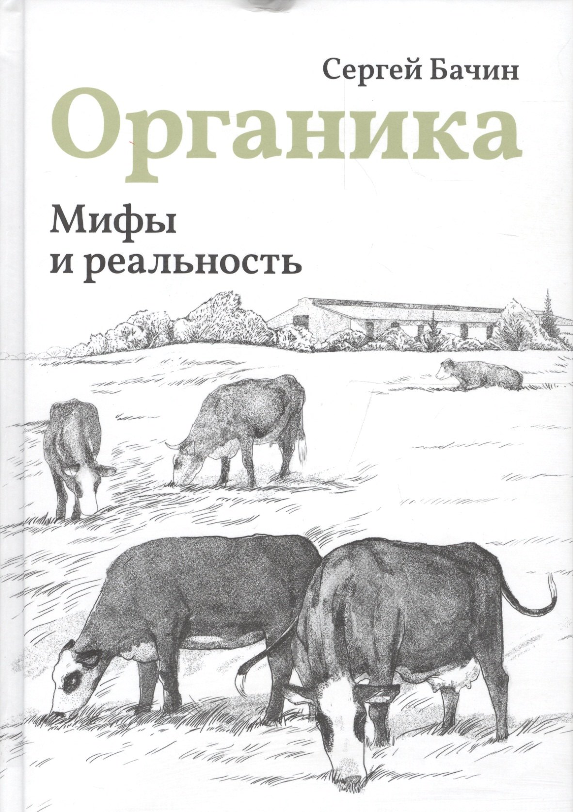 

Мифы и реальность