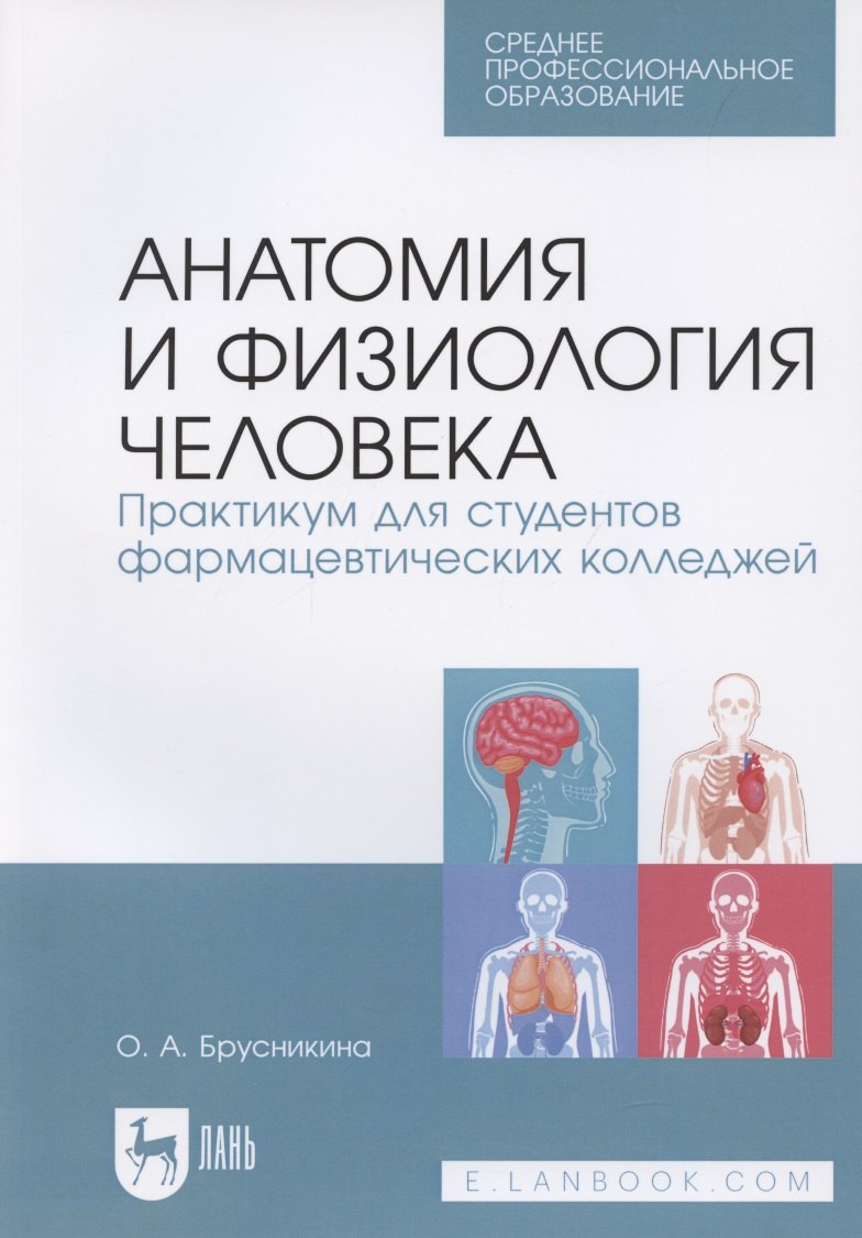 Брусникина Ольга Александровна: Анатомия и физиология человека. Практикум для студентов фармацевтических колледжей