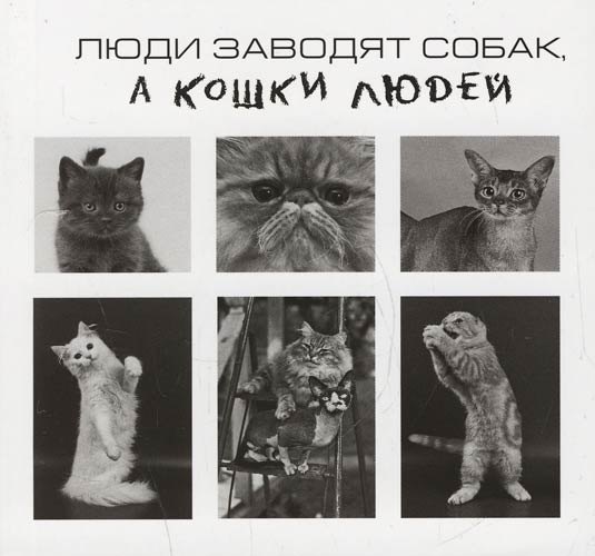 

Люди заводят собак,а кошки людей