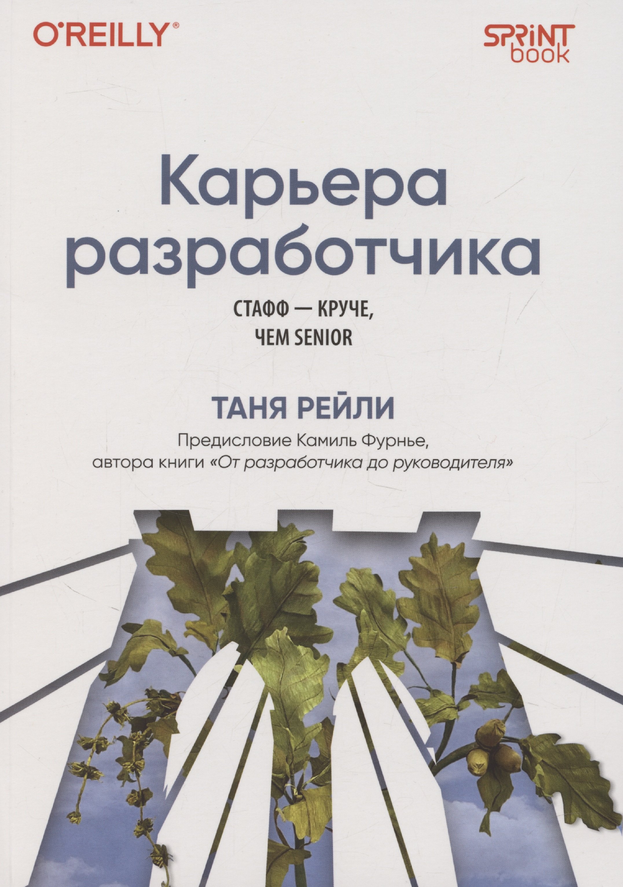 Карьера разработчика. Стафф - круче, чем senior