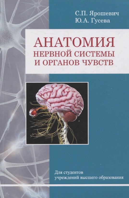 

Анатомия нервной системы и органов чувств