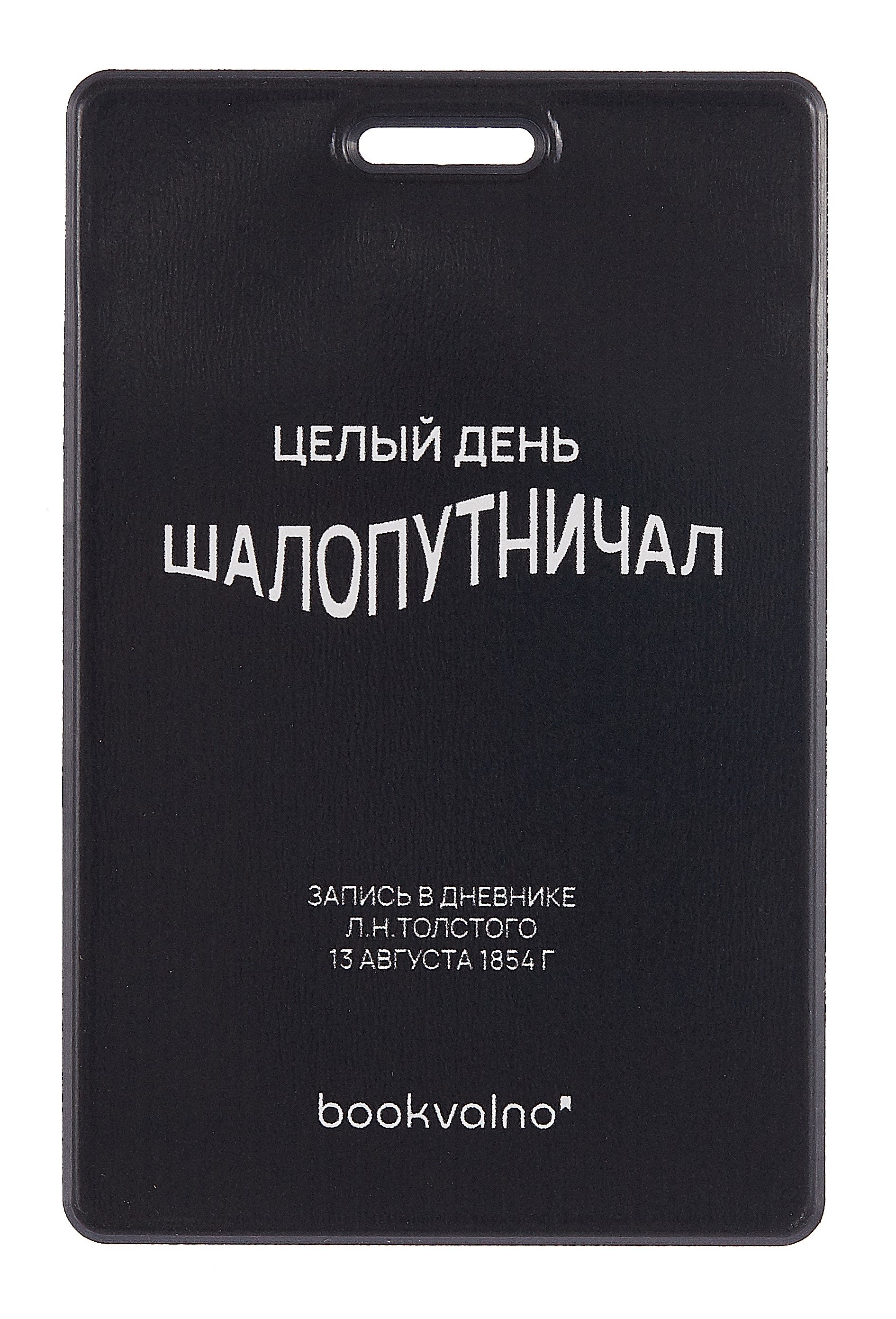 

Чехол для карточек вертикальный Целый день шалопутничал (черный) (ДК2024-483)