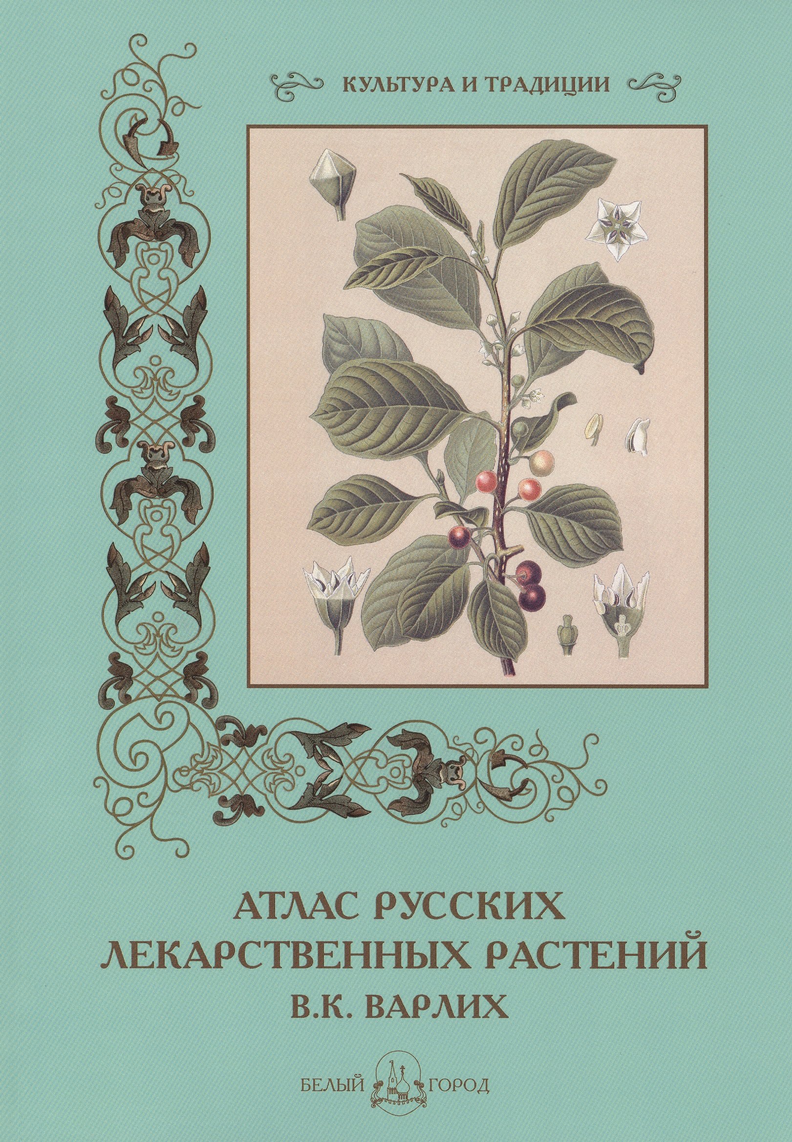 Иванов Сергей Григорьевич: Атлас русских лекарственных растений. В.К. Варлих