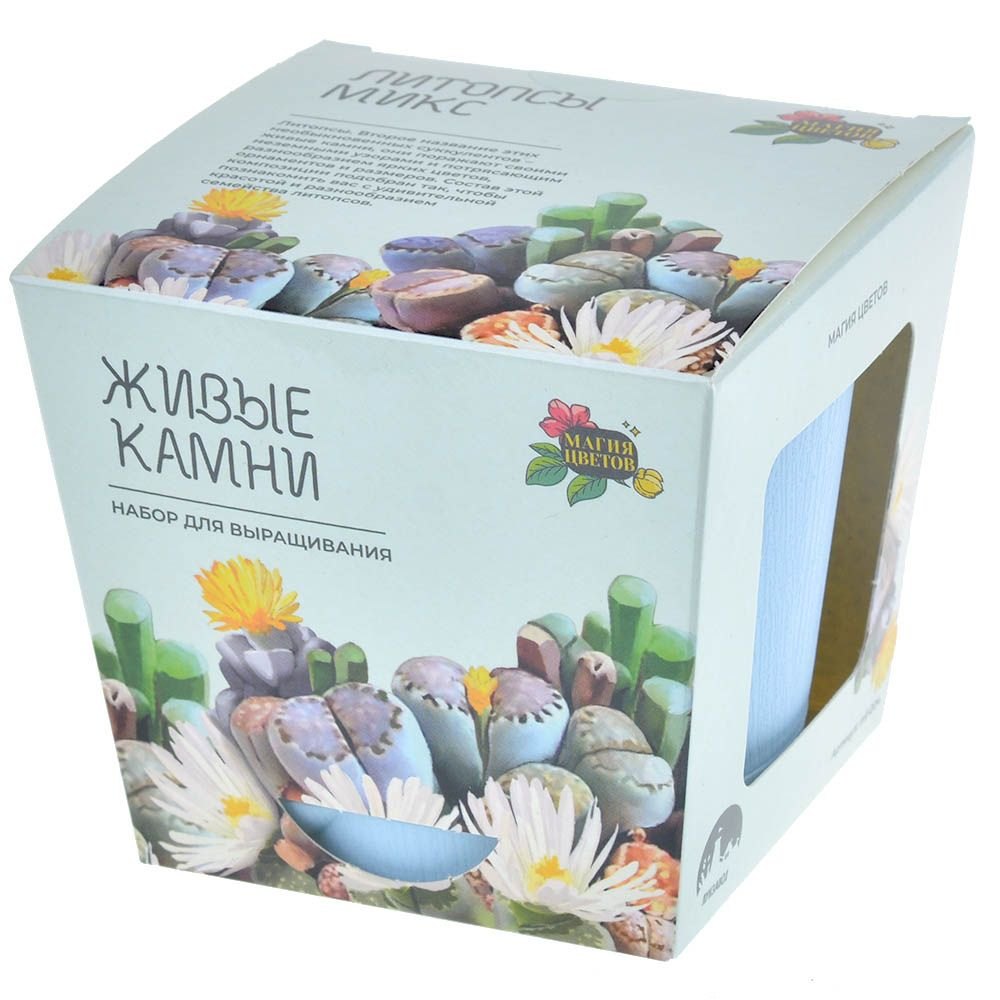 

Набор д/выращивания растений Магия цветов, Литопсы микс (живые камни) (mf-004)