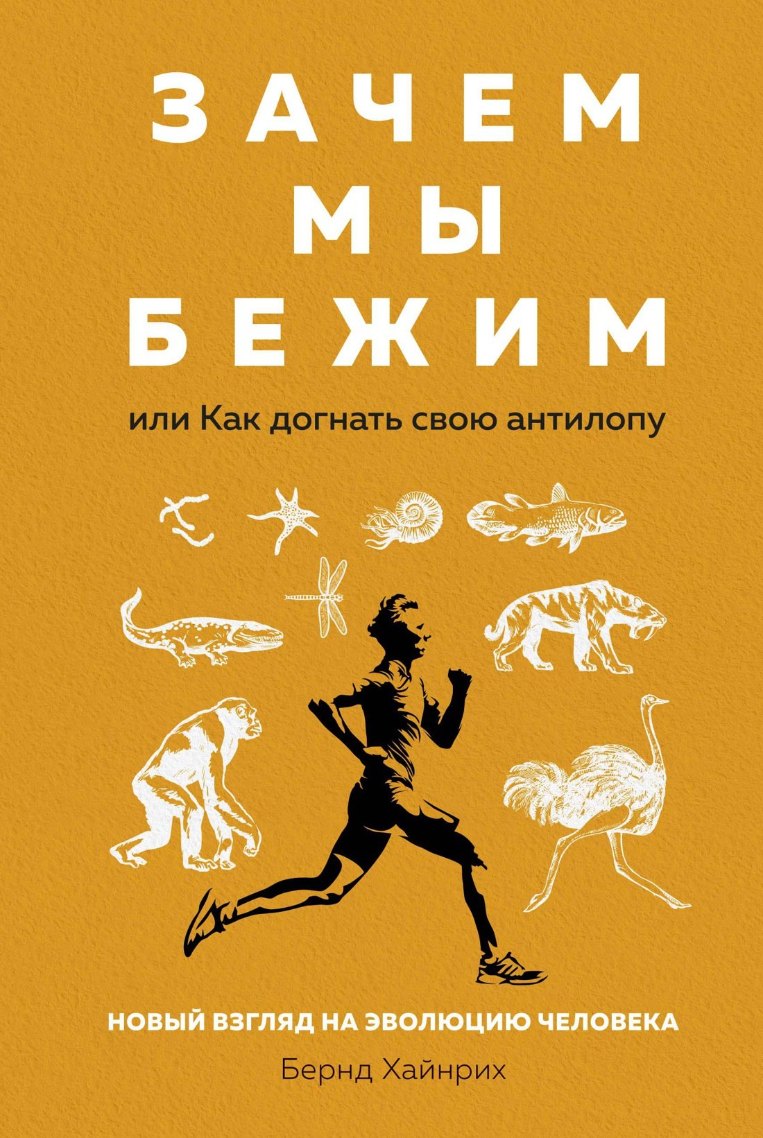 

Зачем мы бежим, или Как догнать свою антилопу. Новый взгляд на эволюцию человека