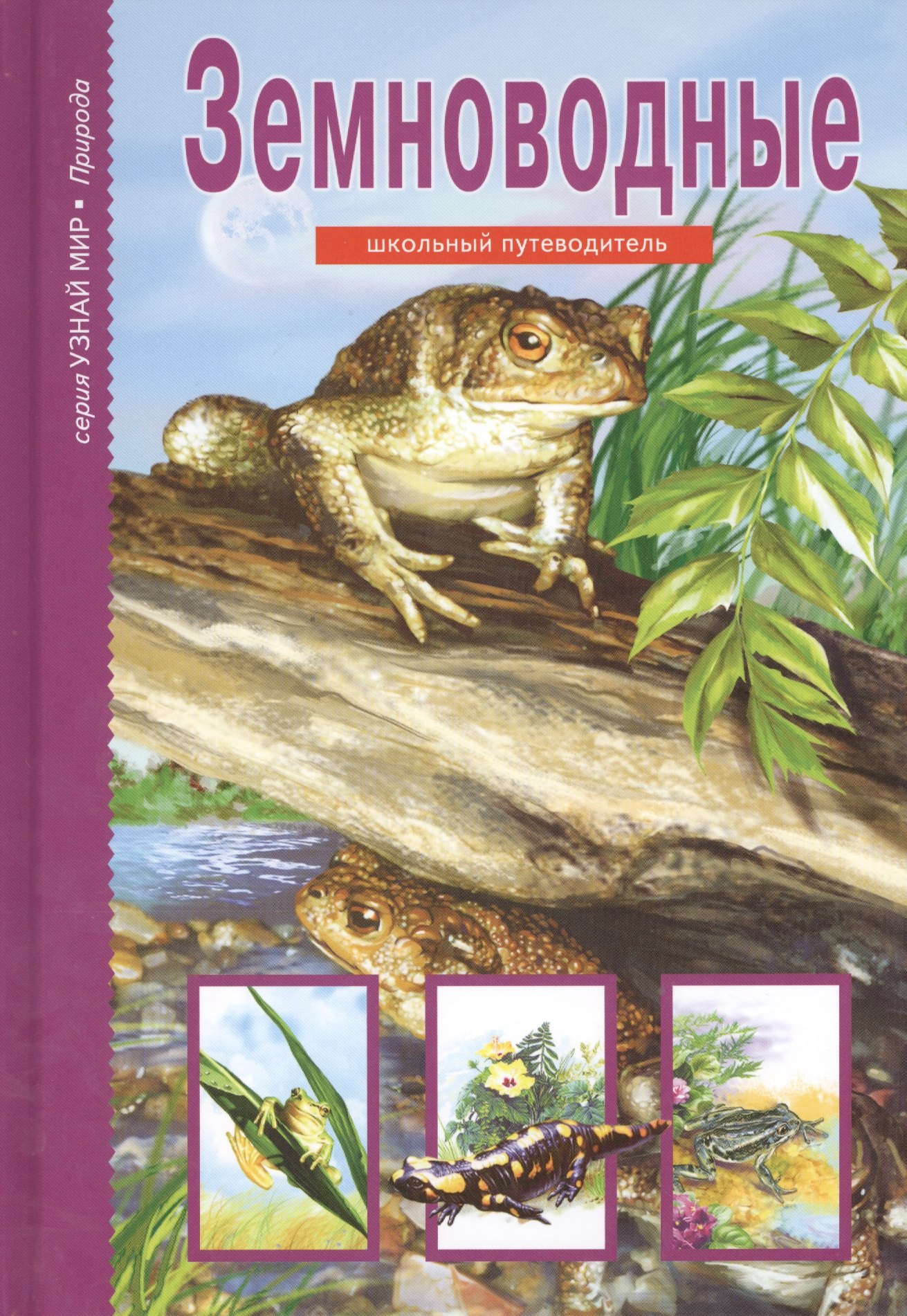 Земноводные.