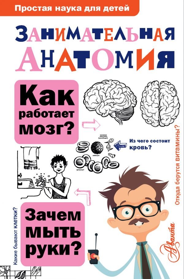 

Занимательная анатомия
