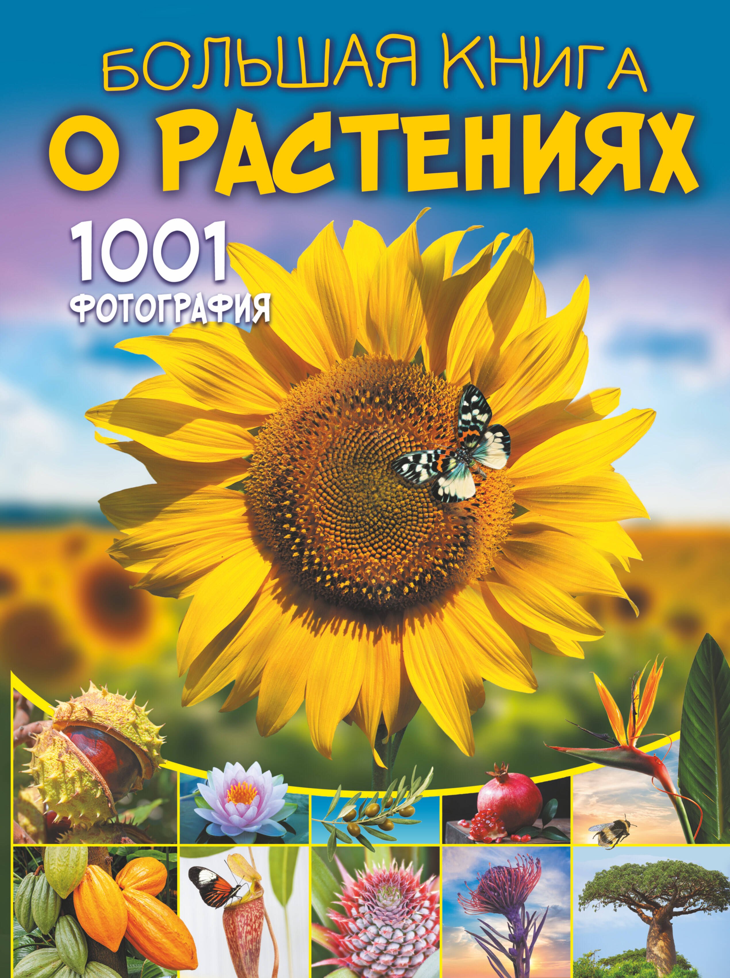 

Большая книга о растениях. 1001 фотография