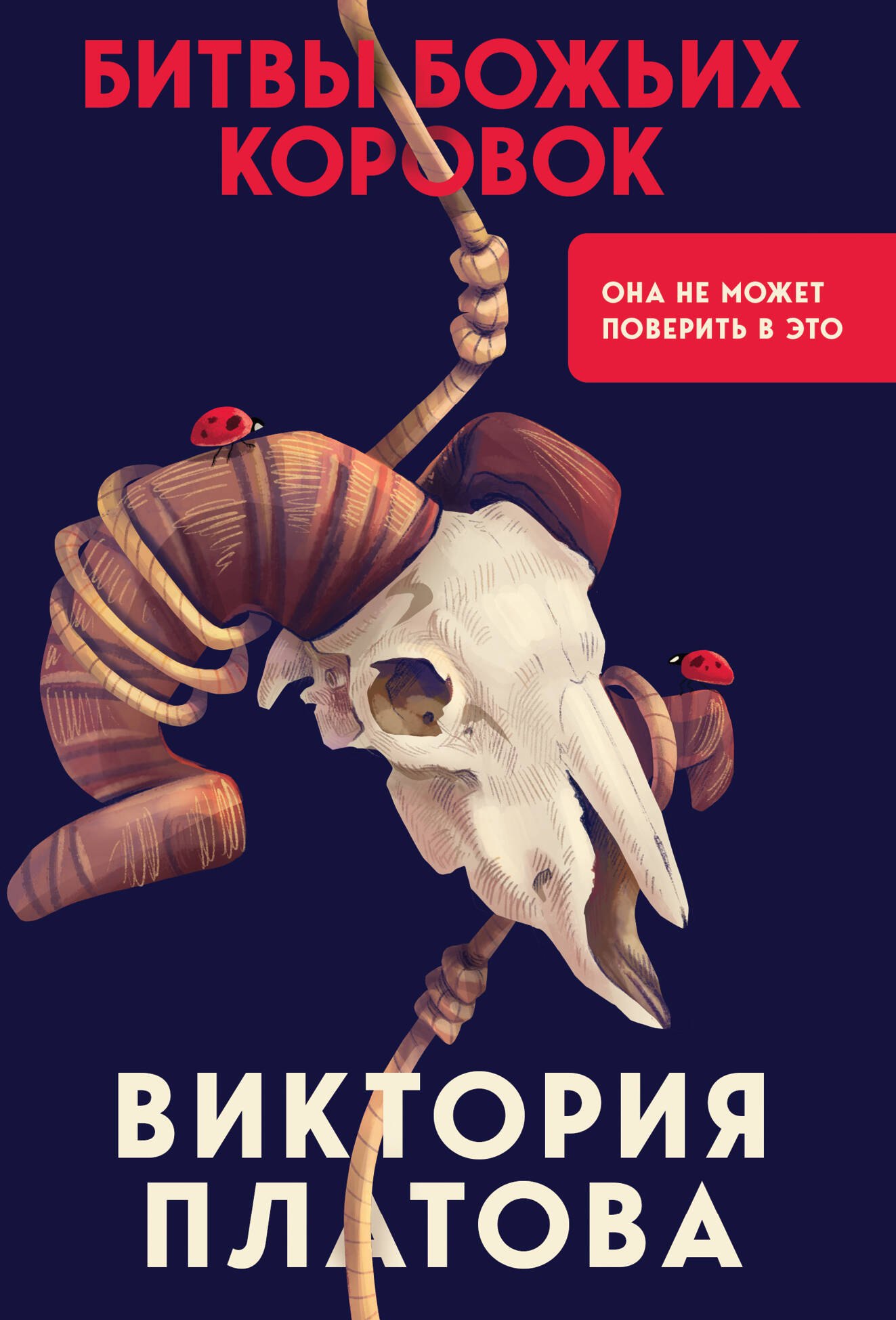 

Битвы божьих коровок