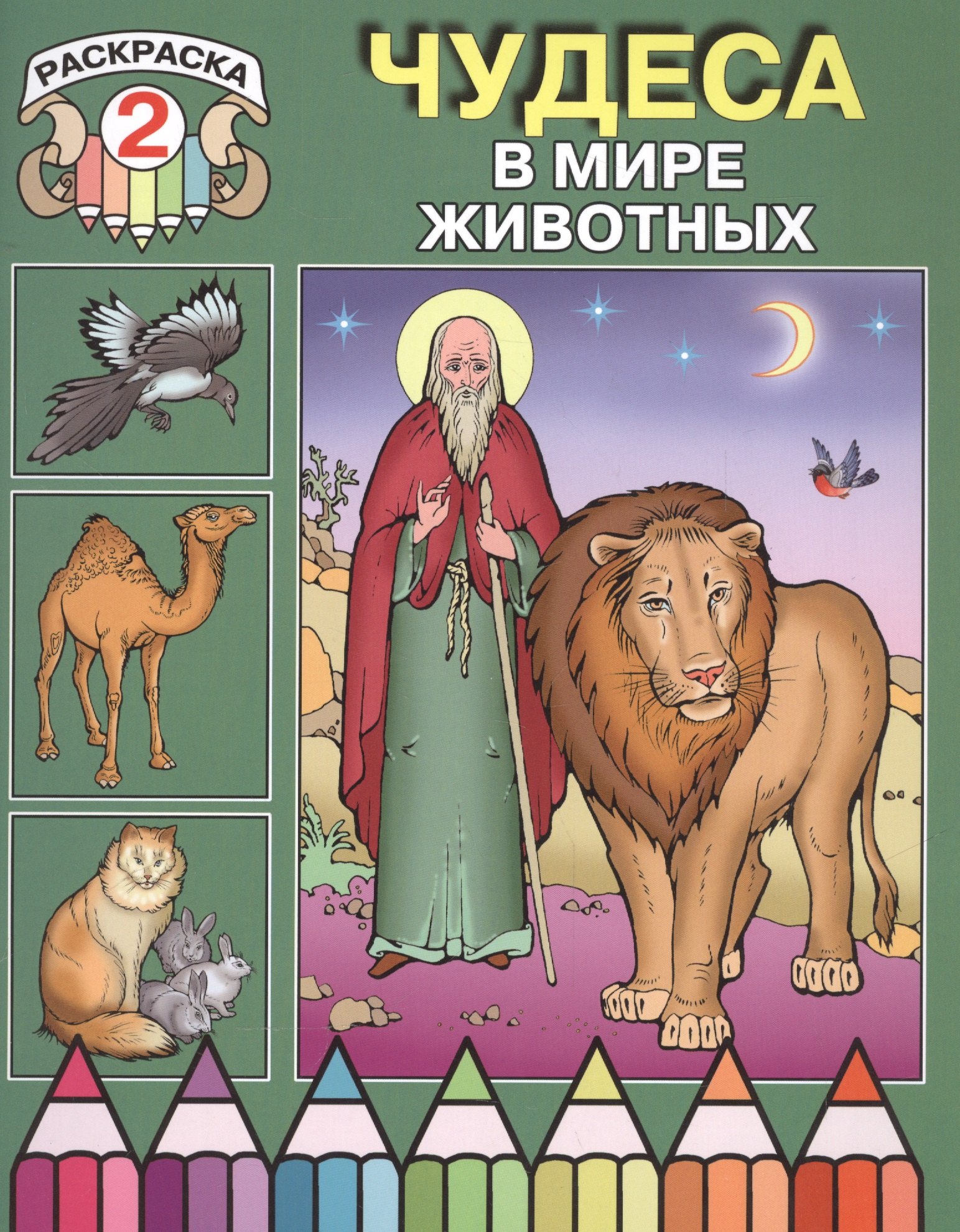 Чудеса в мире животных. Раскраска 2