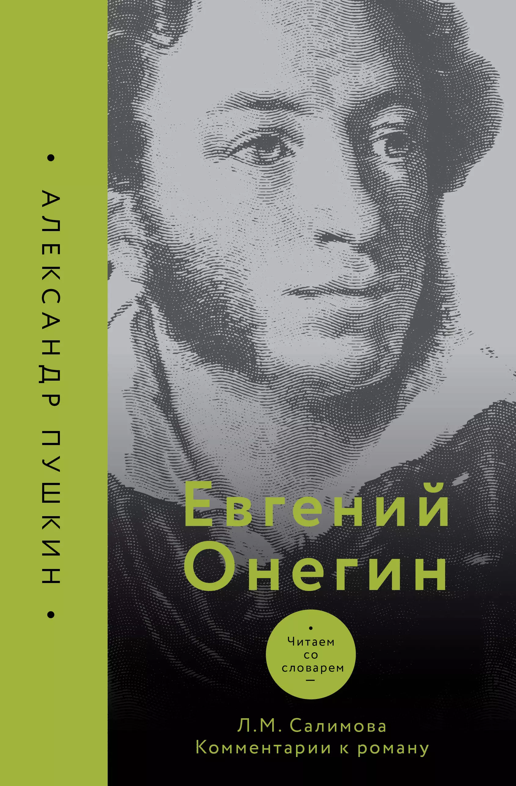 Евгений Онегин. Читаем со словарем. Комментарии к роману