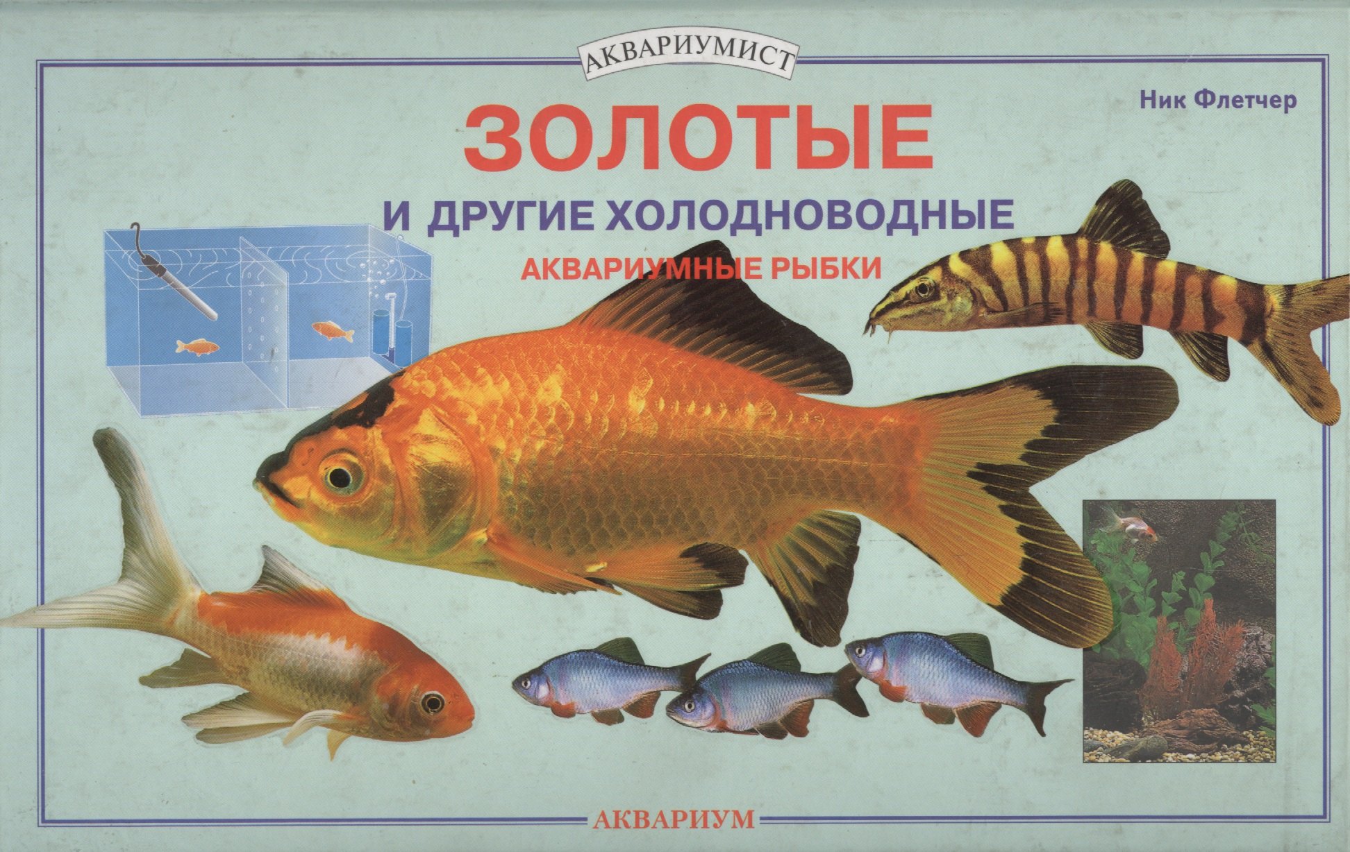Флетчер Ник: Золотые и другие холодноводные аквариумные рыбки. (цвет)
