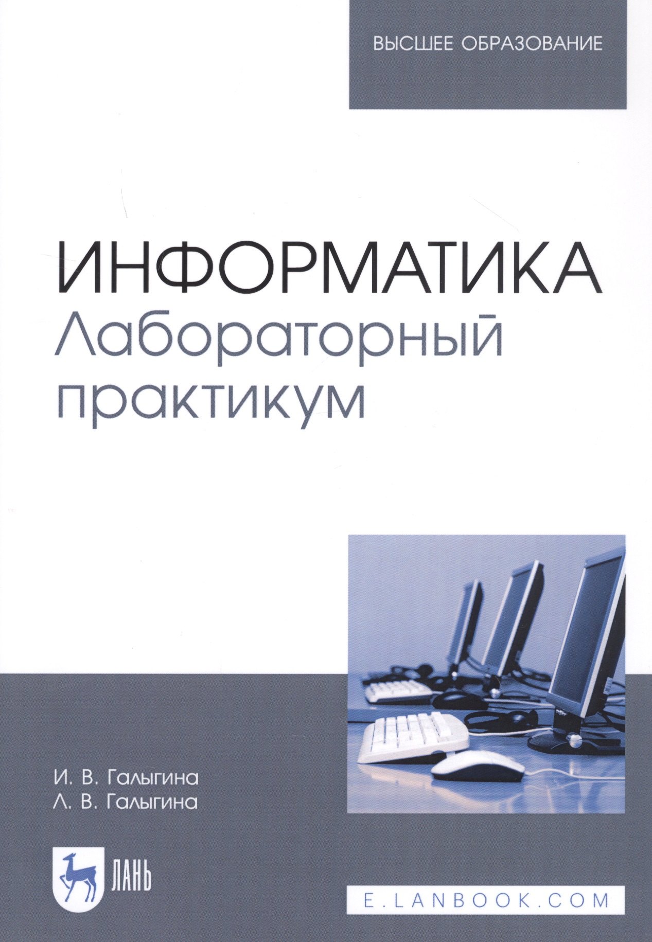 

Информатика. Лабораторный практикум. Учебное пособие