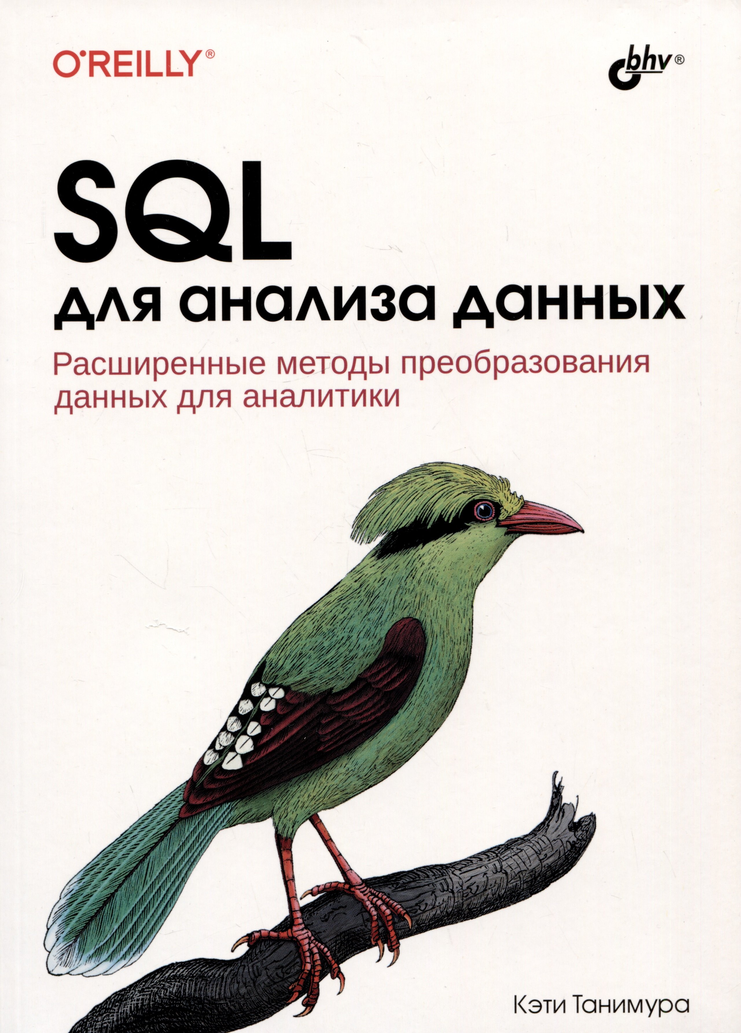 

SQL для анализа данных. Расширенные методы преобразования данных для аналитики