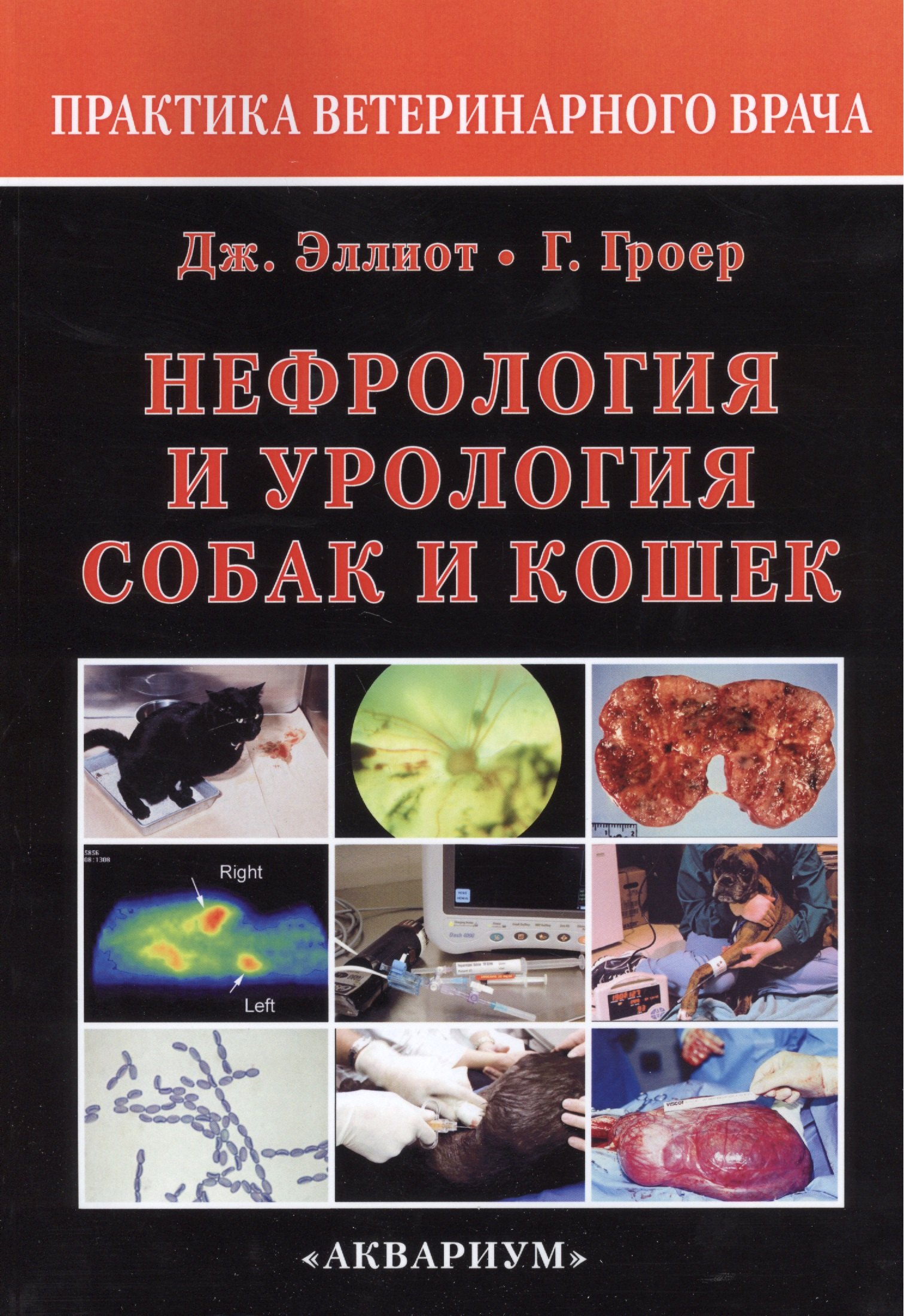 Эллиот Джонатан: Нефрология и урология собак и кошек