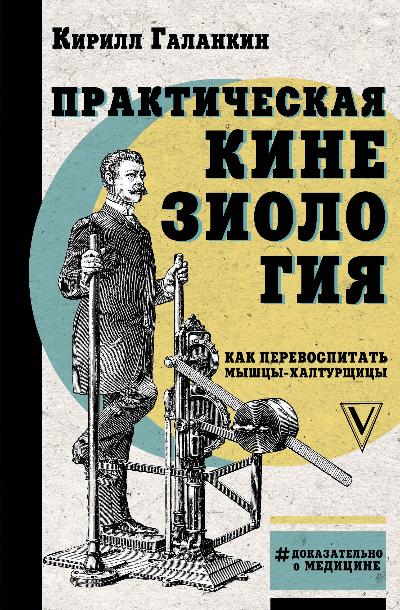 

Практическая кинезиология: как перевоспитать мышцы-халтурщицы