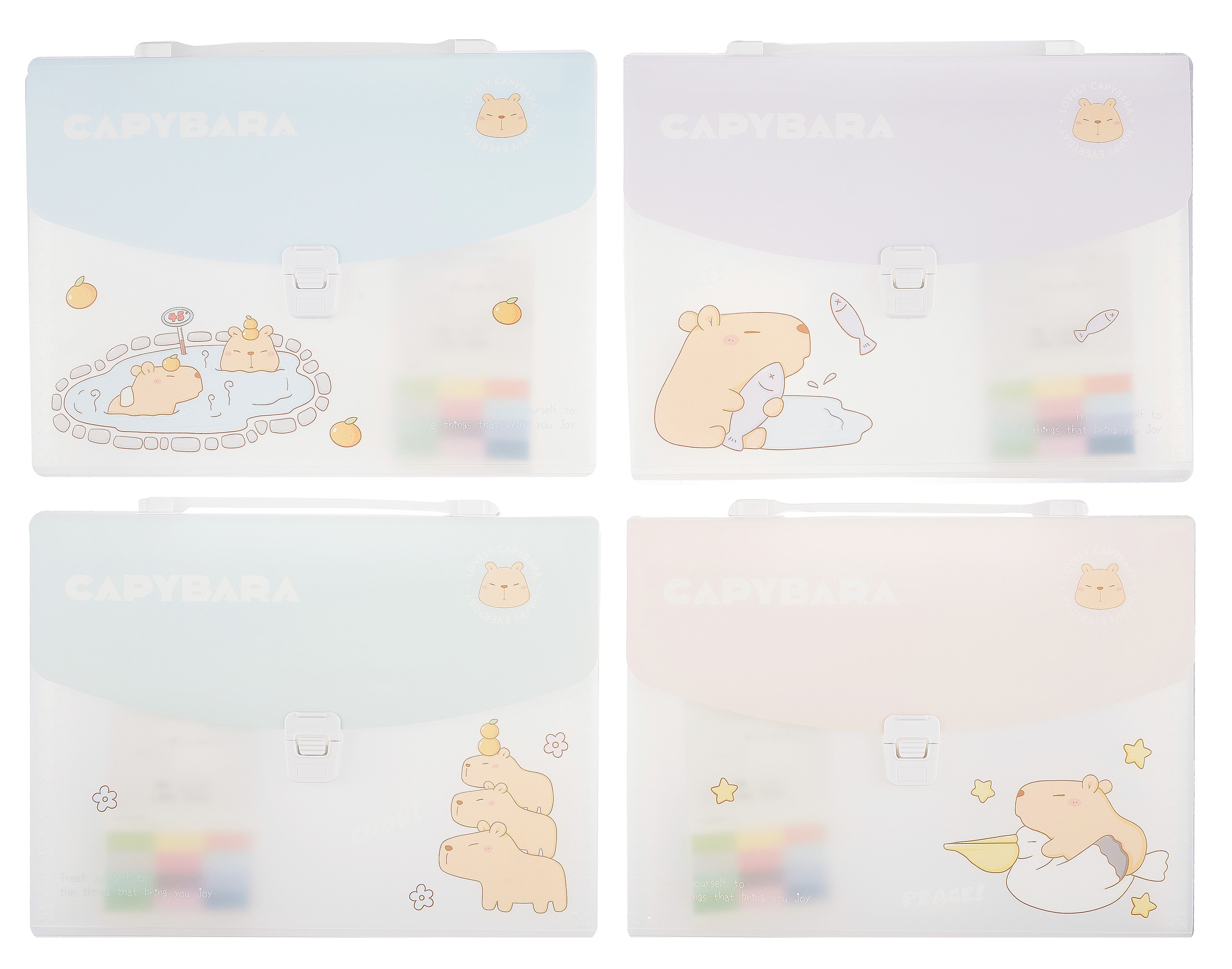 

Портфель А4 12отд. "Capybara" пластик, ассорти