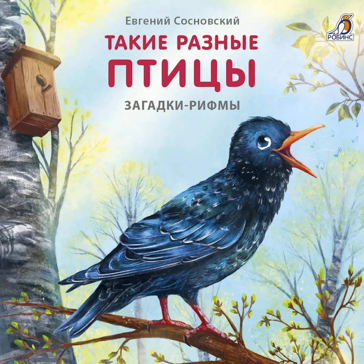 

Такие разные птицы. Загадки-рифмы