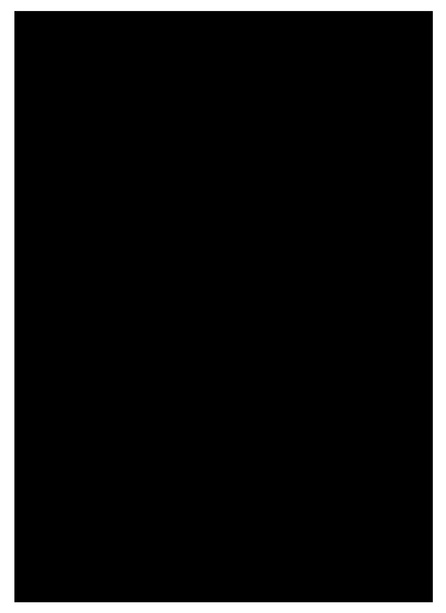 

Бумага 50*70 130г/м2 черная, 1л, Folia