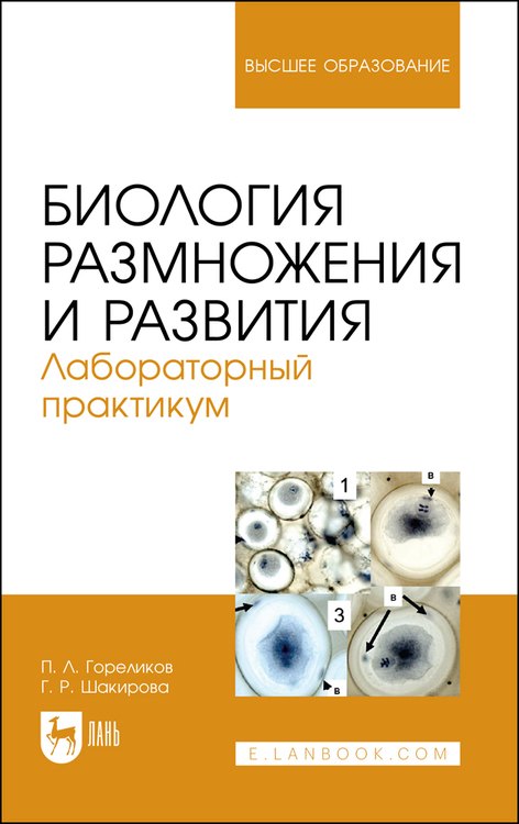 

Биология размножения и развития. Лабораторный практикум. Учебно-методическое пособие