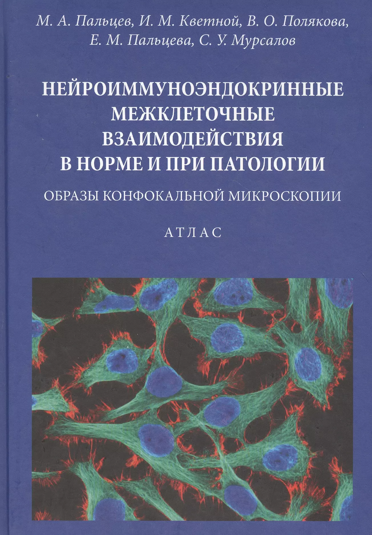 Нейроиммуноэндокринные межклеточные взаимодействия в норме и при патологии. Образы конфокальной микроскопии. Атлас