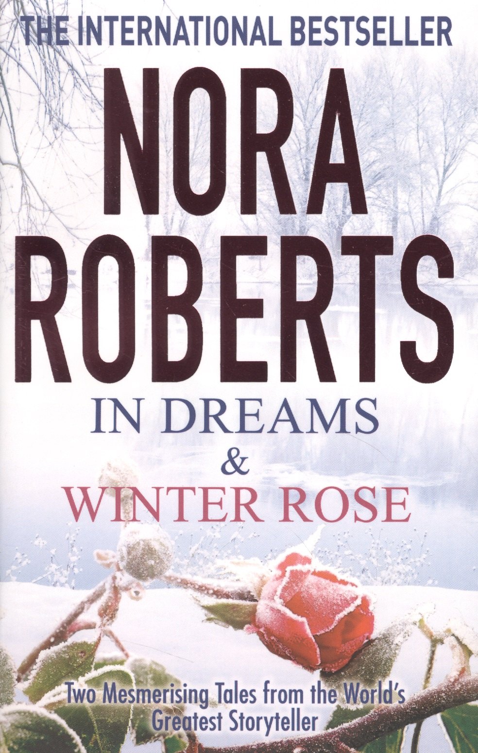 In Dreams & Winter Rose