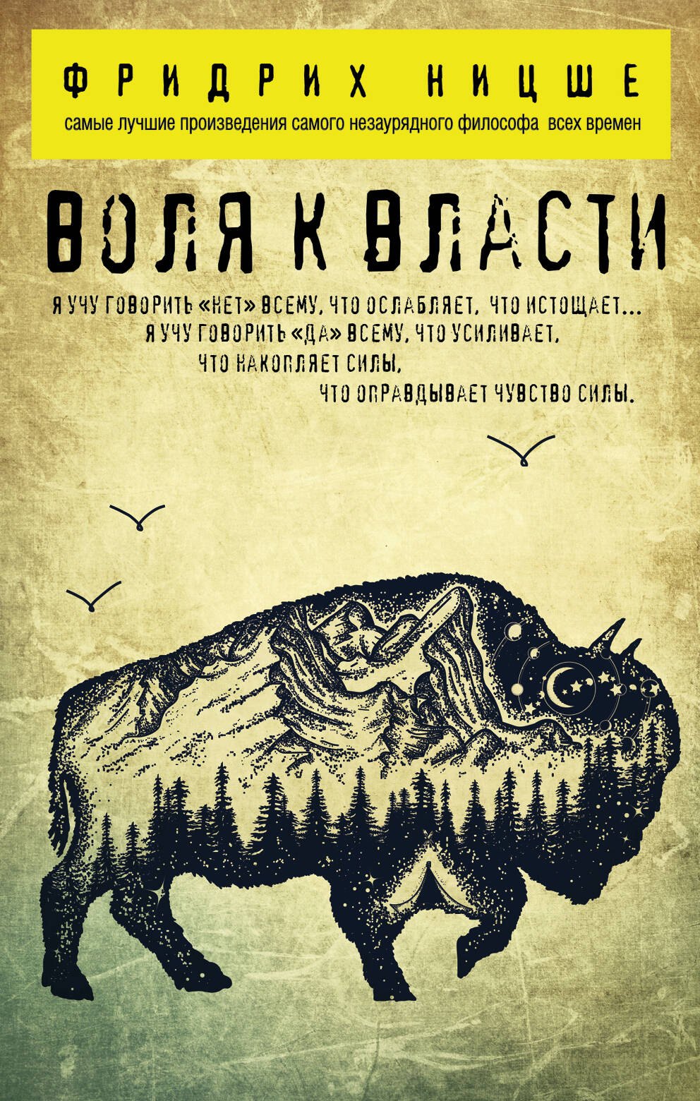 Ницше Фридрих Вильгельм: Воля к власти